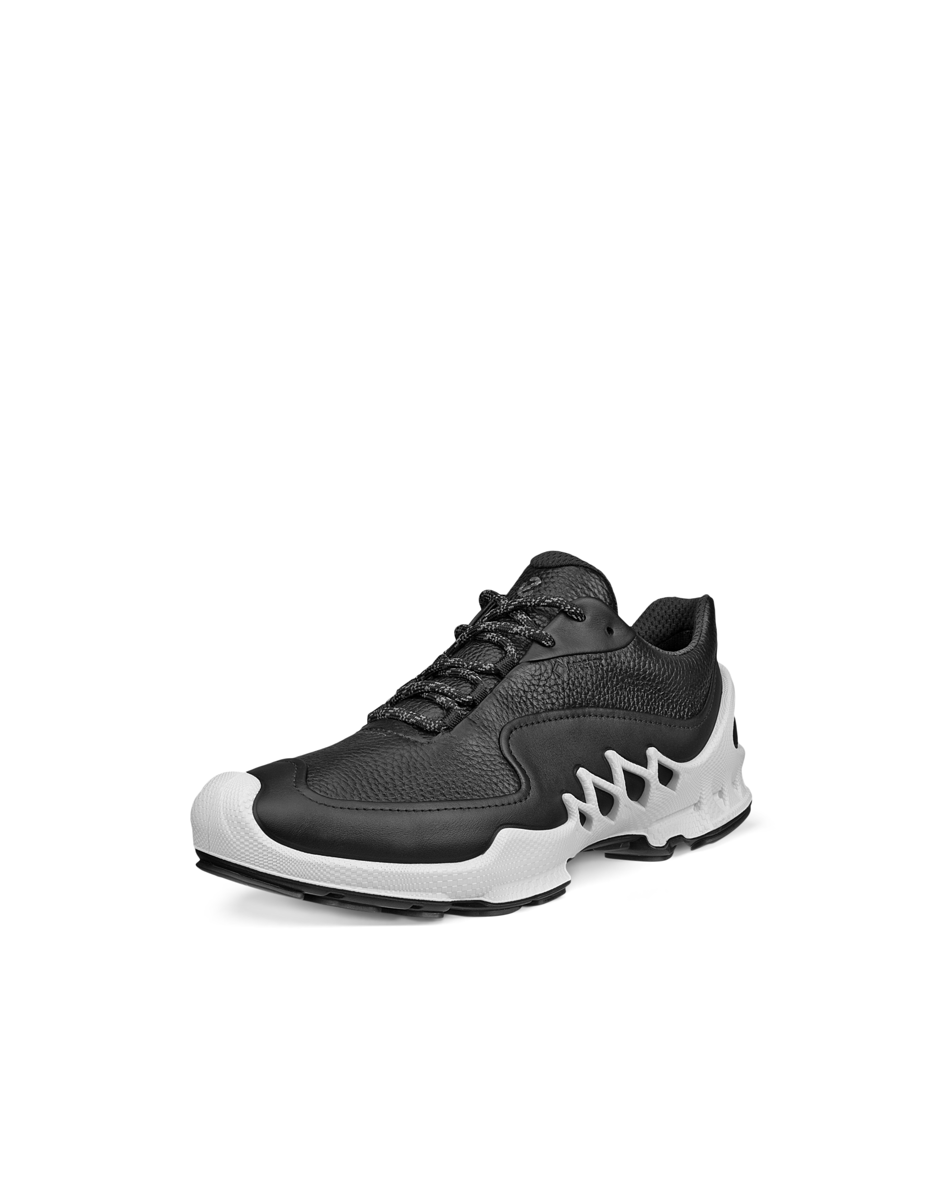 ECCO BIOM AEX — Black
