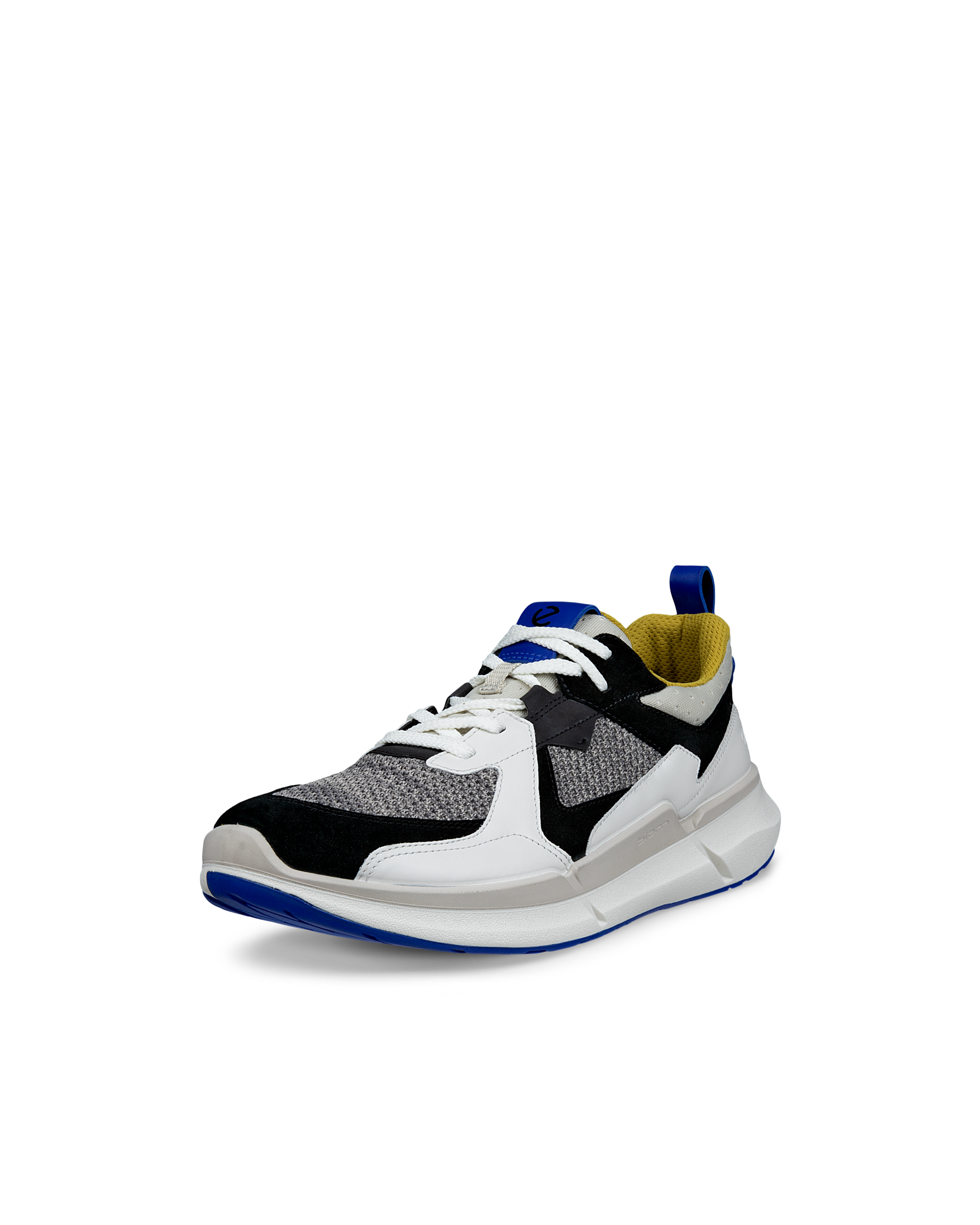 ECCO BIOM 2.2 — Grey