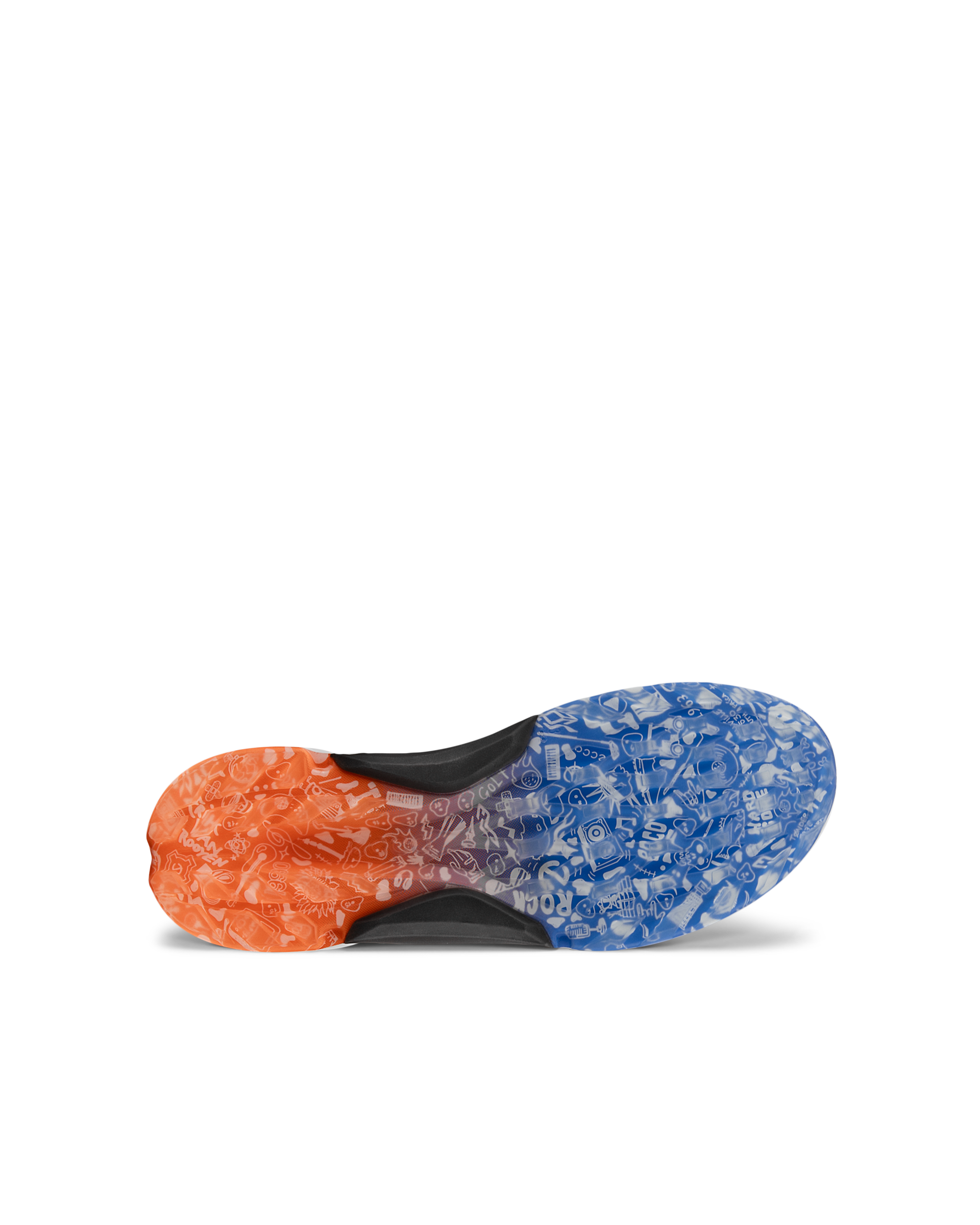 ECCO Golf BIOM H4 (Erik Van Rooyen Edition) メンズ レザーGore-Tex