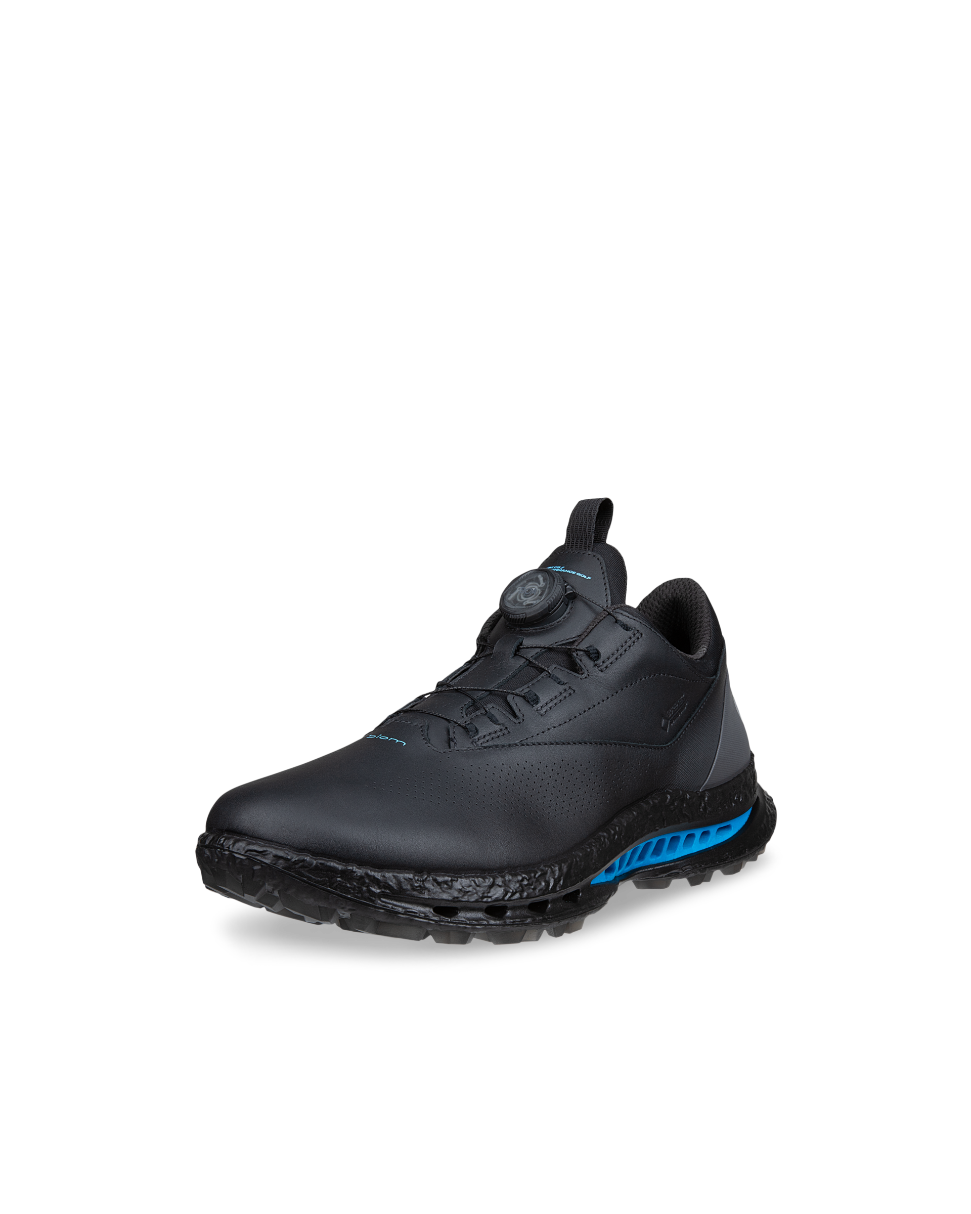 ECCO Golf Biom C5 — Black (alternate view)