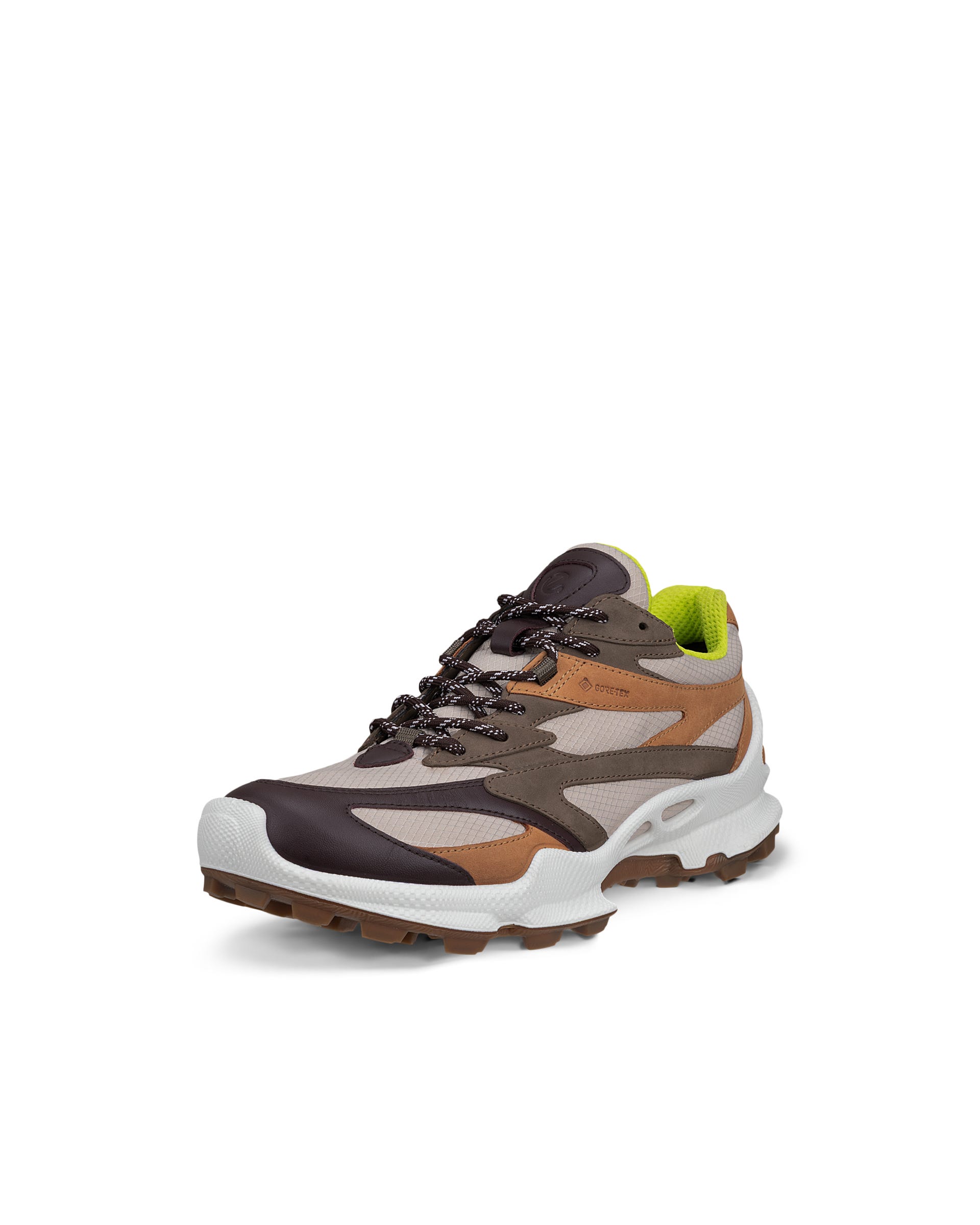 Men's ECCO® Biom C-Trail Gore-Tex Leather Shoe