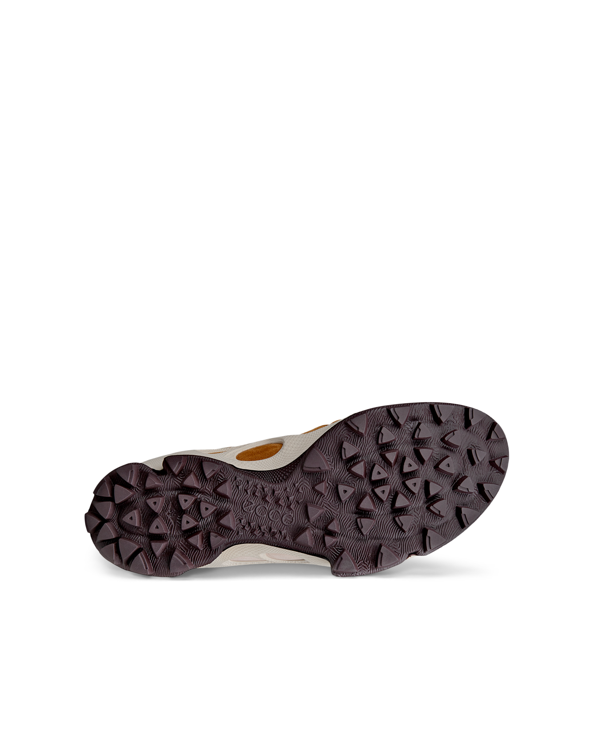 ECCO BIOM C-TRAIL — Brown
