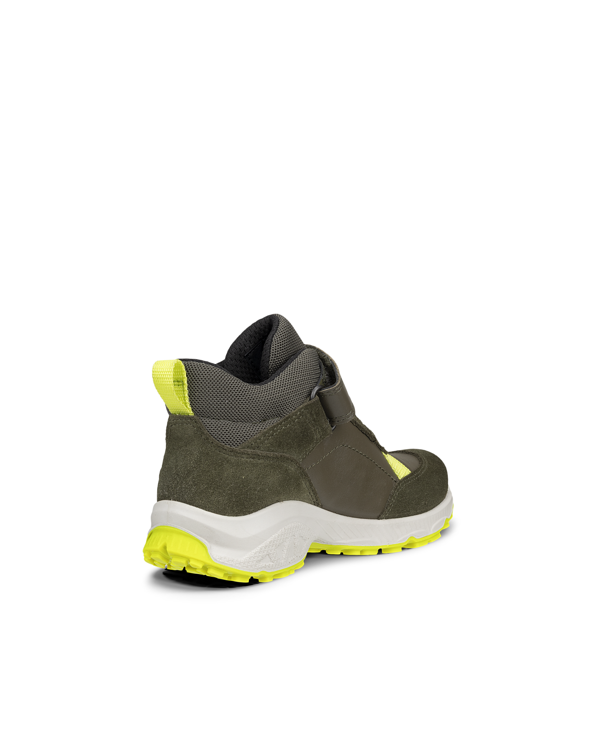 ECCO RECEPTOR XP — Green