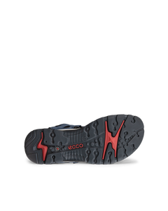 ECCO Offroad — Blue 4