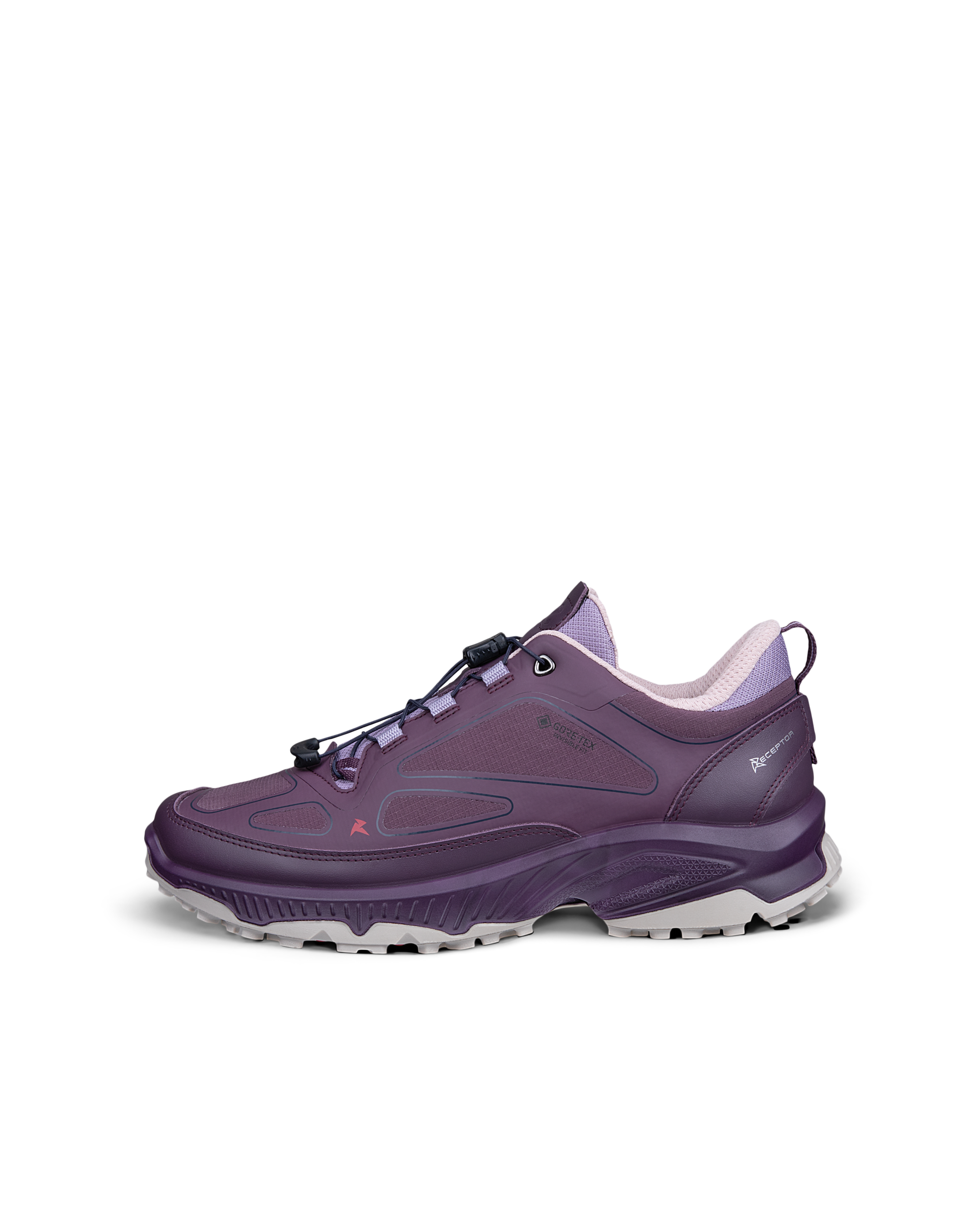 ECCO Receptor XP — Purple