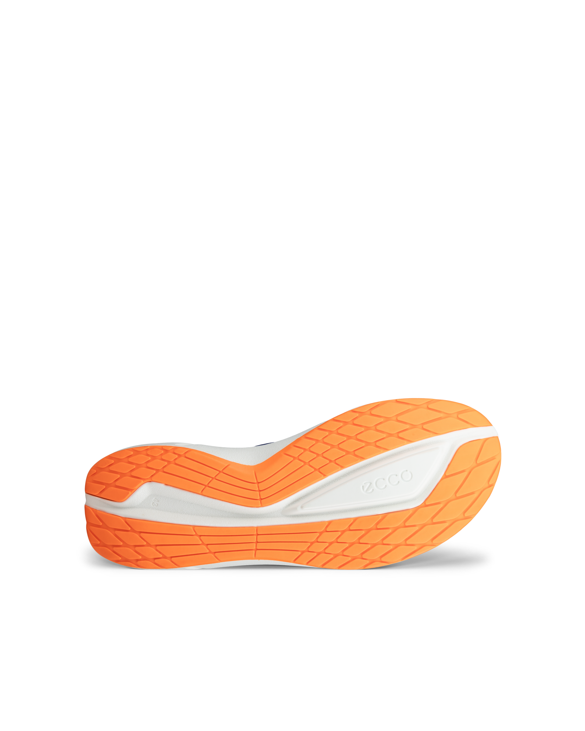 ECCO BIOM 2.2 — Blue