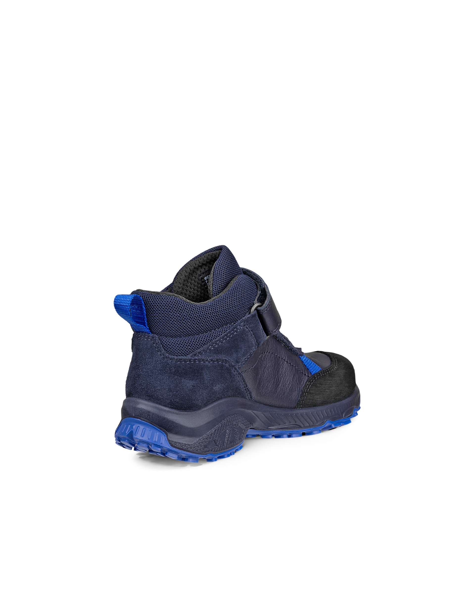 ECCO RECEPTOR XP — Blue