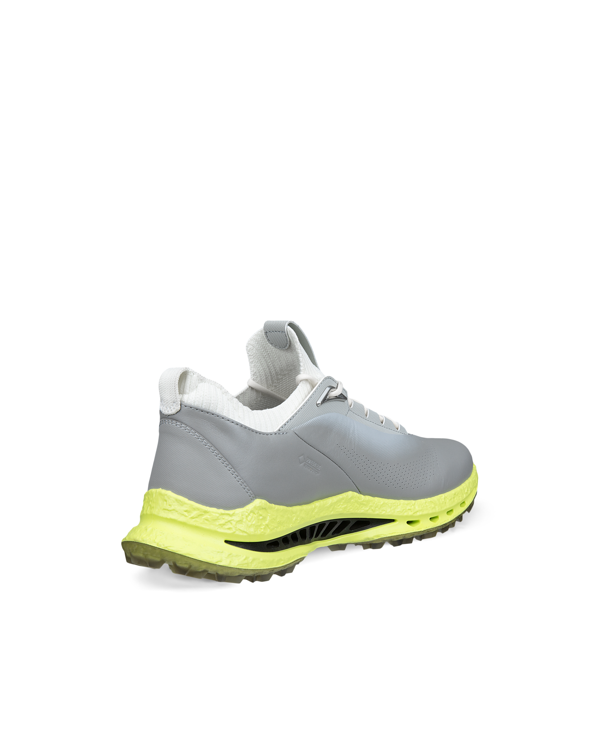 Men's ECCO® Golf Biom C5 Leather Gore-Tex Golf Shoe | Grey