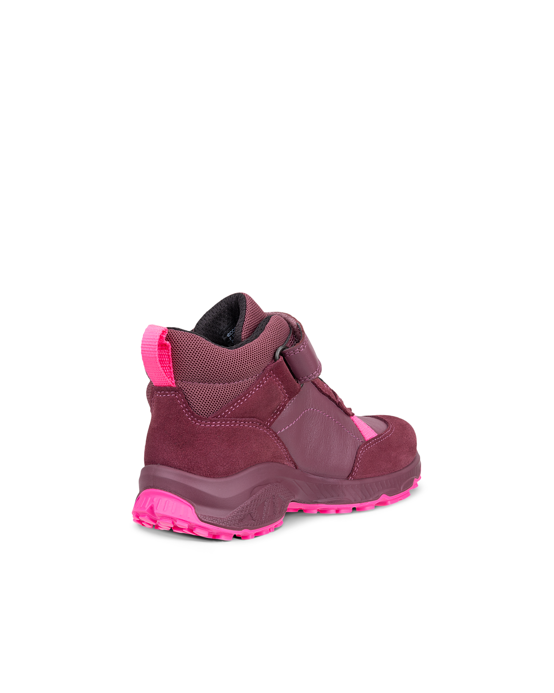 ECCO RECEPTOR XP — Pink