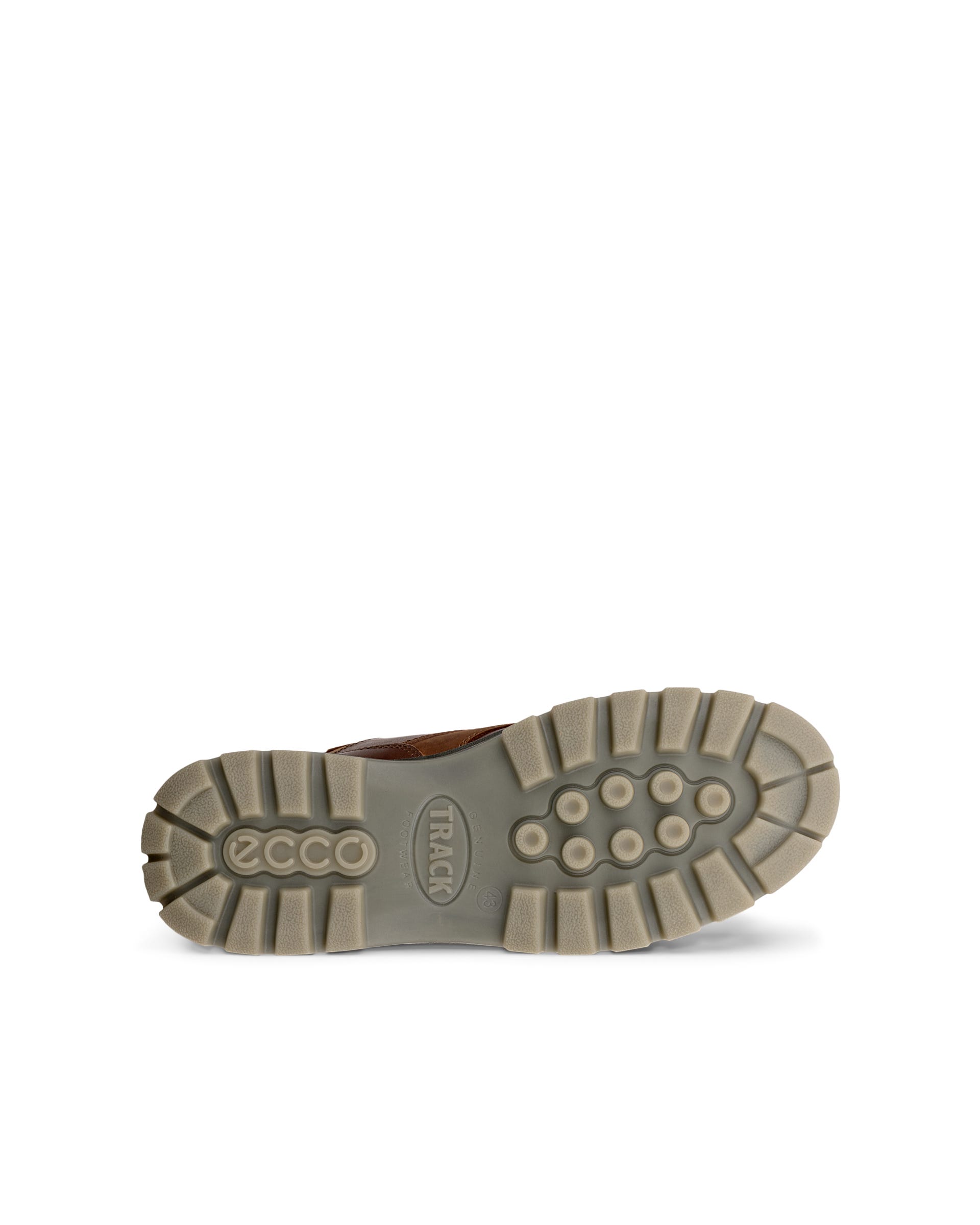 ECCO® TRACK 25 Herren Wanderschuh aus Leder mit Gore-Tex - Braun - Sole