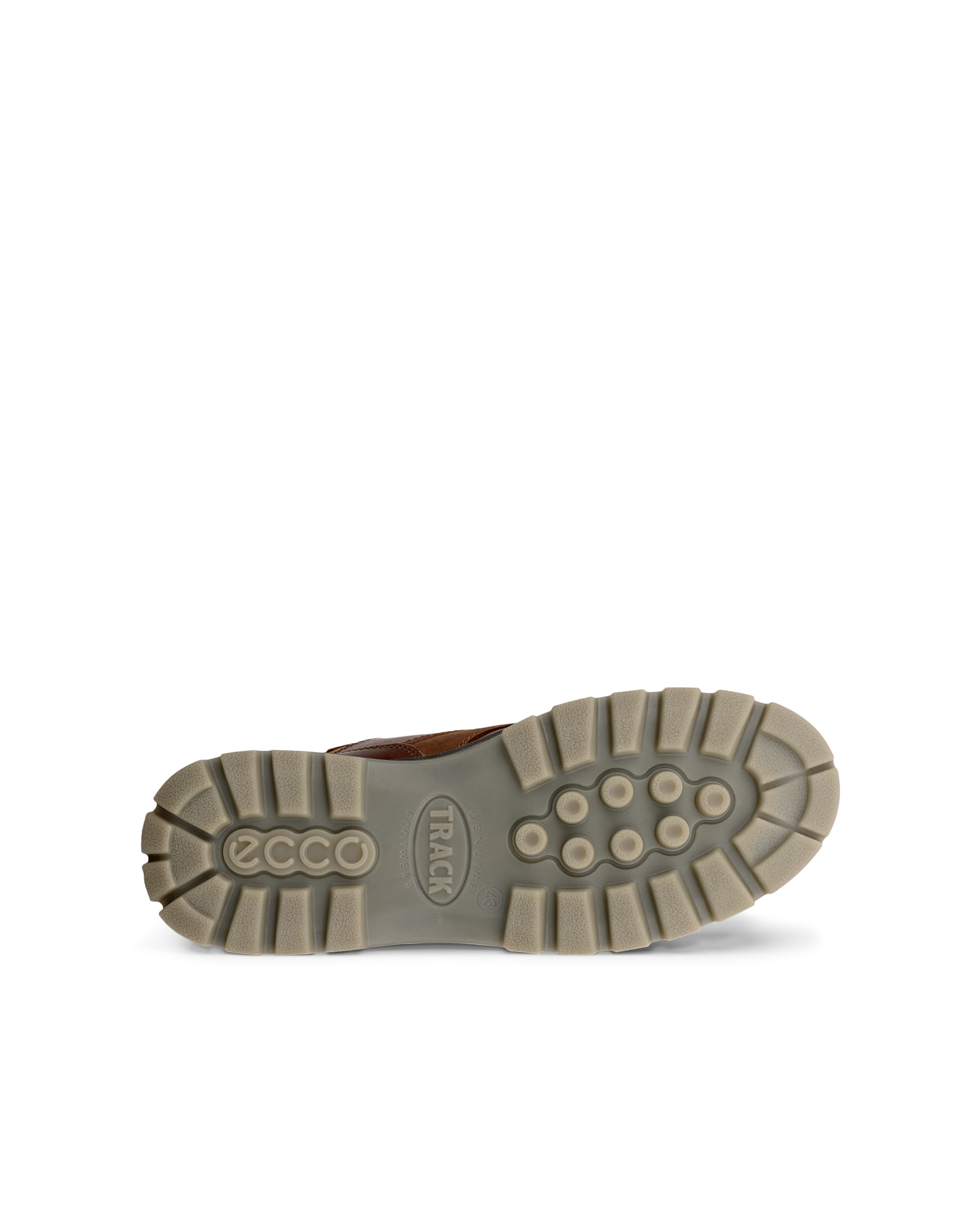ECCO Track 25 — Brown