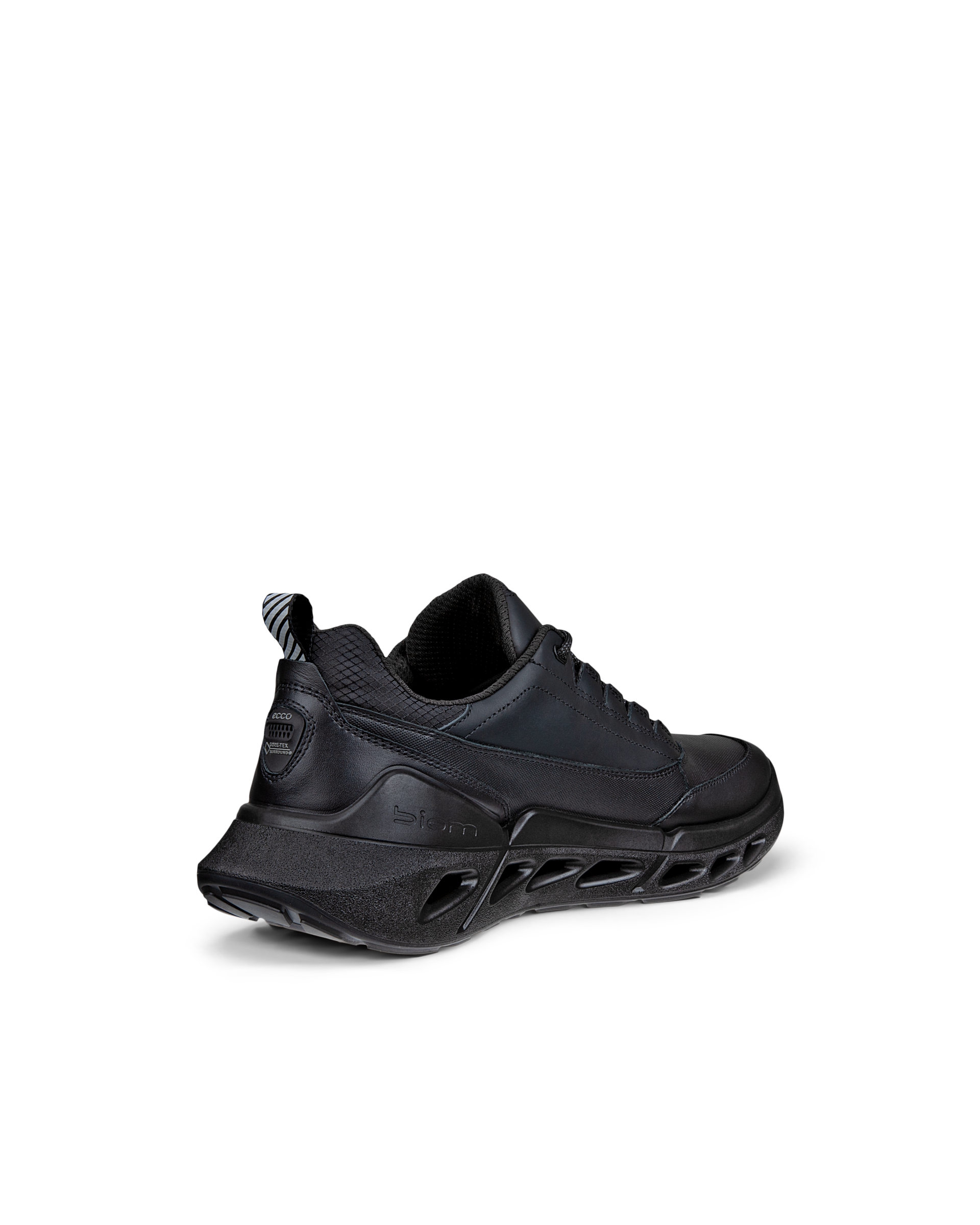 ECCO Biom 720 Gore-Tex — Black