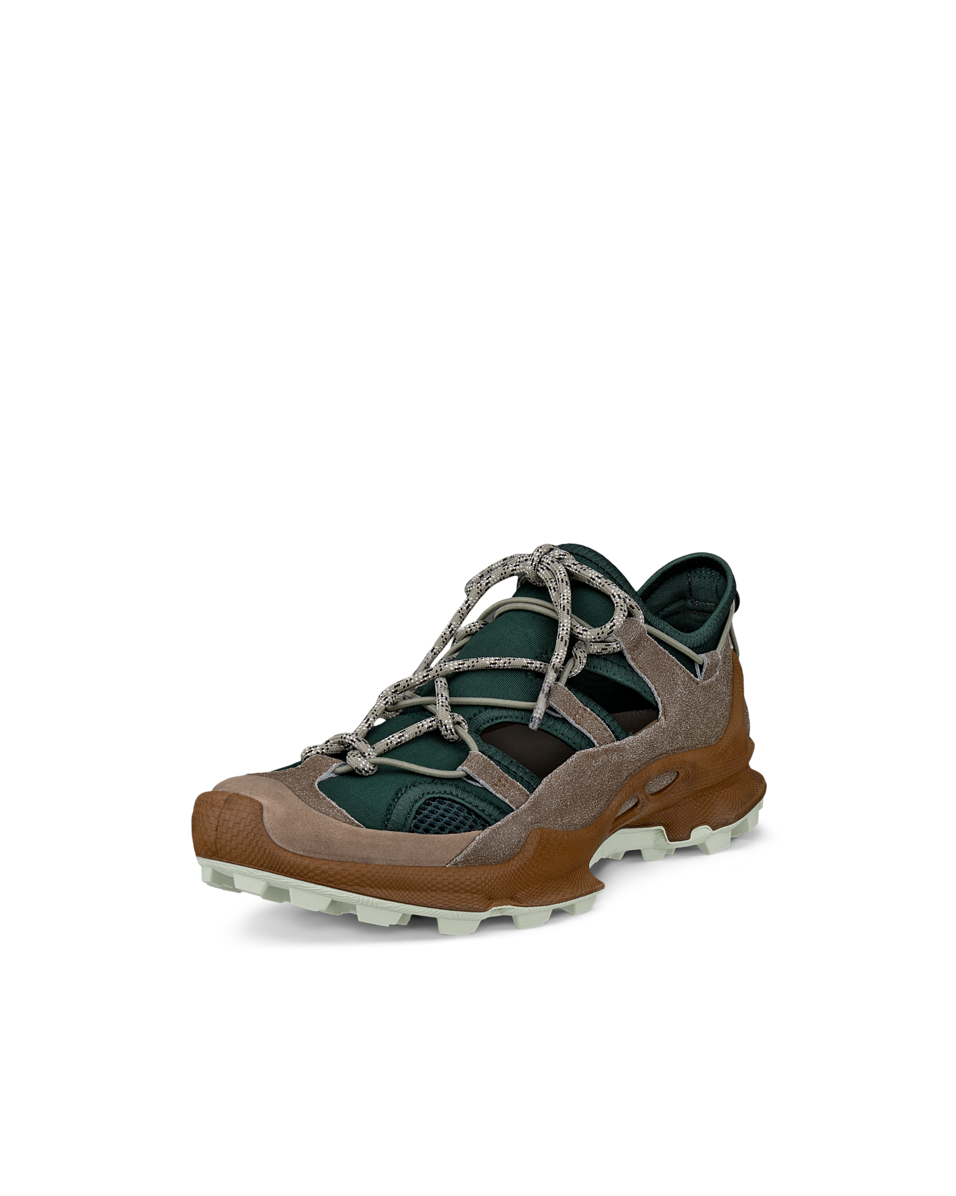 ECCO BIOM C-TRAIL — Brown