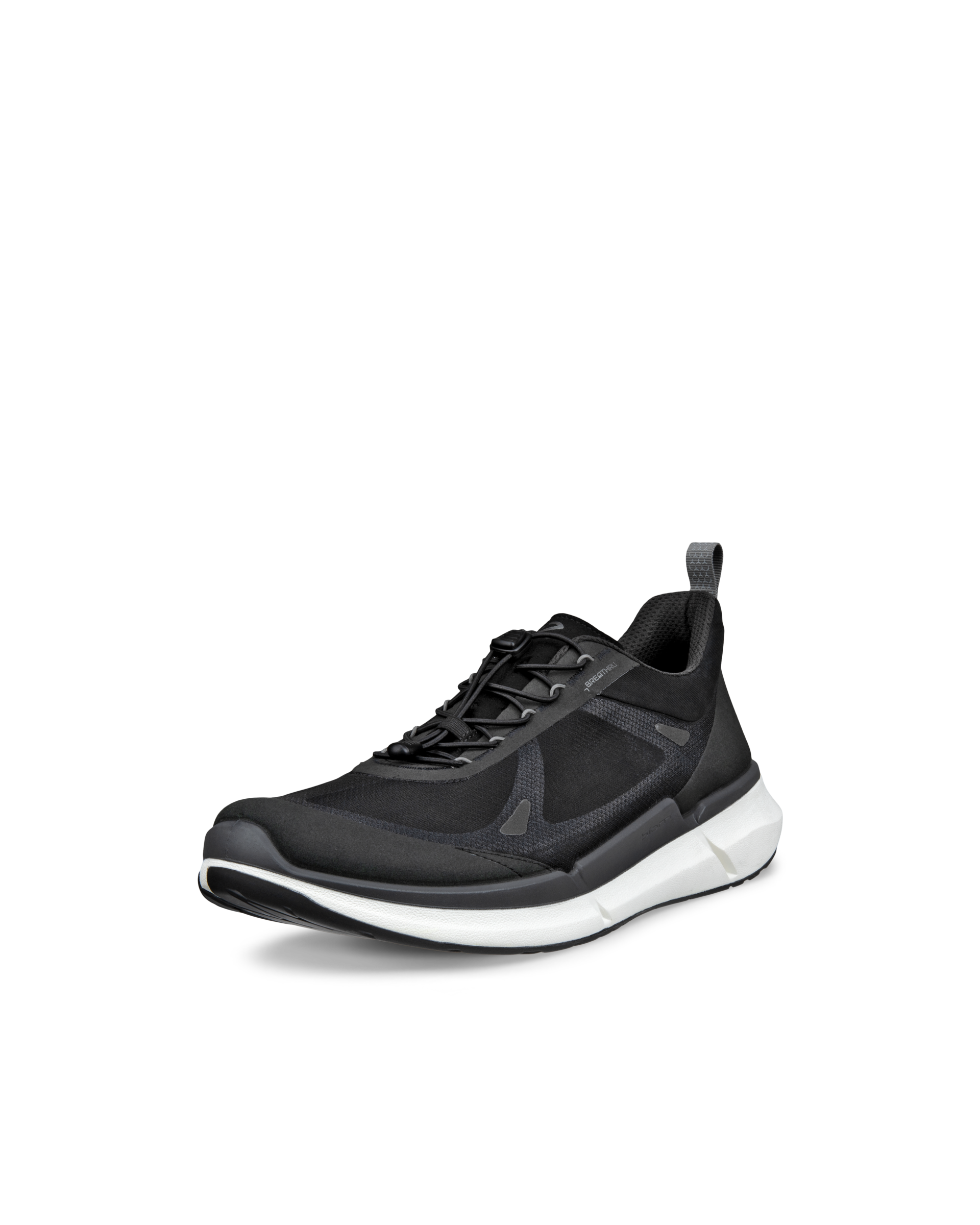 ECCO BIOM 2.2 — Black
