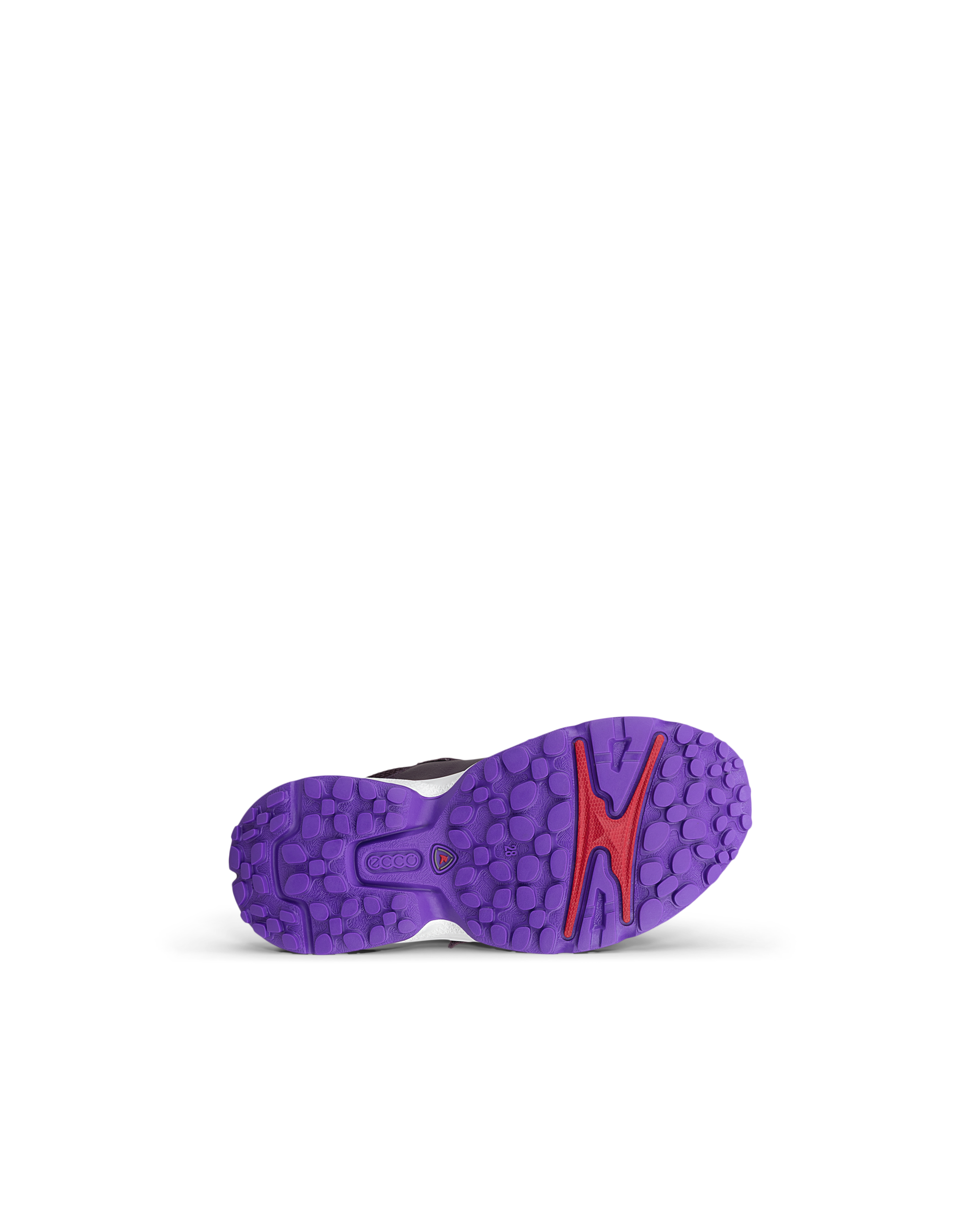 ECCO RECEPTOR XP — Purple