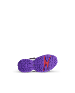 ECCO RECEPTOR XP — Purple 4