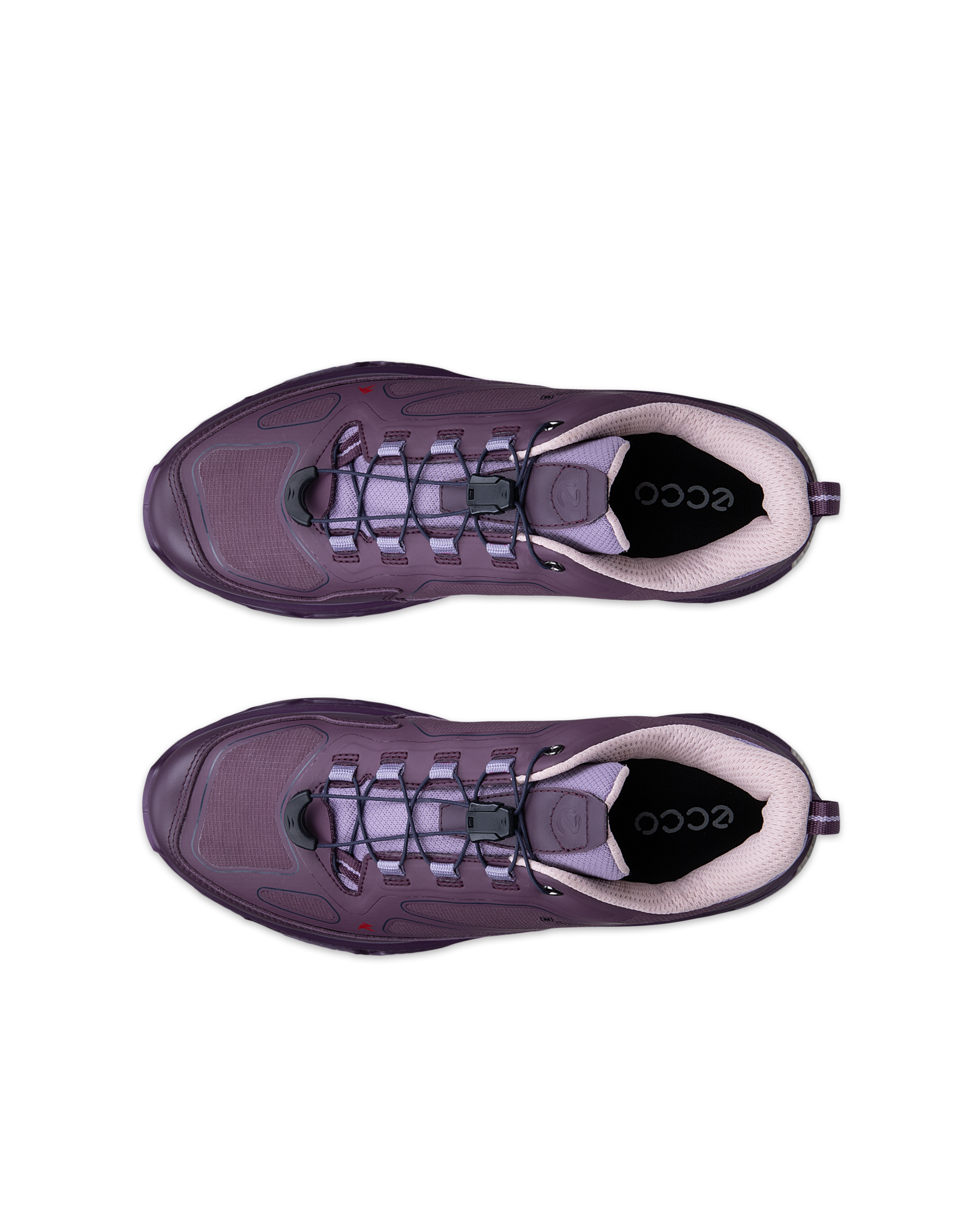 ECCO Receptor XP — Purple