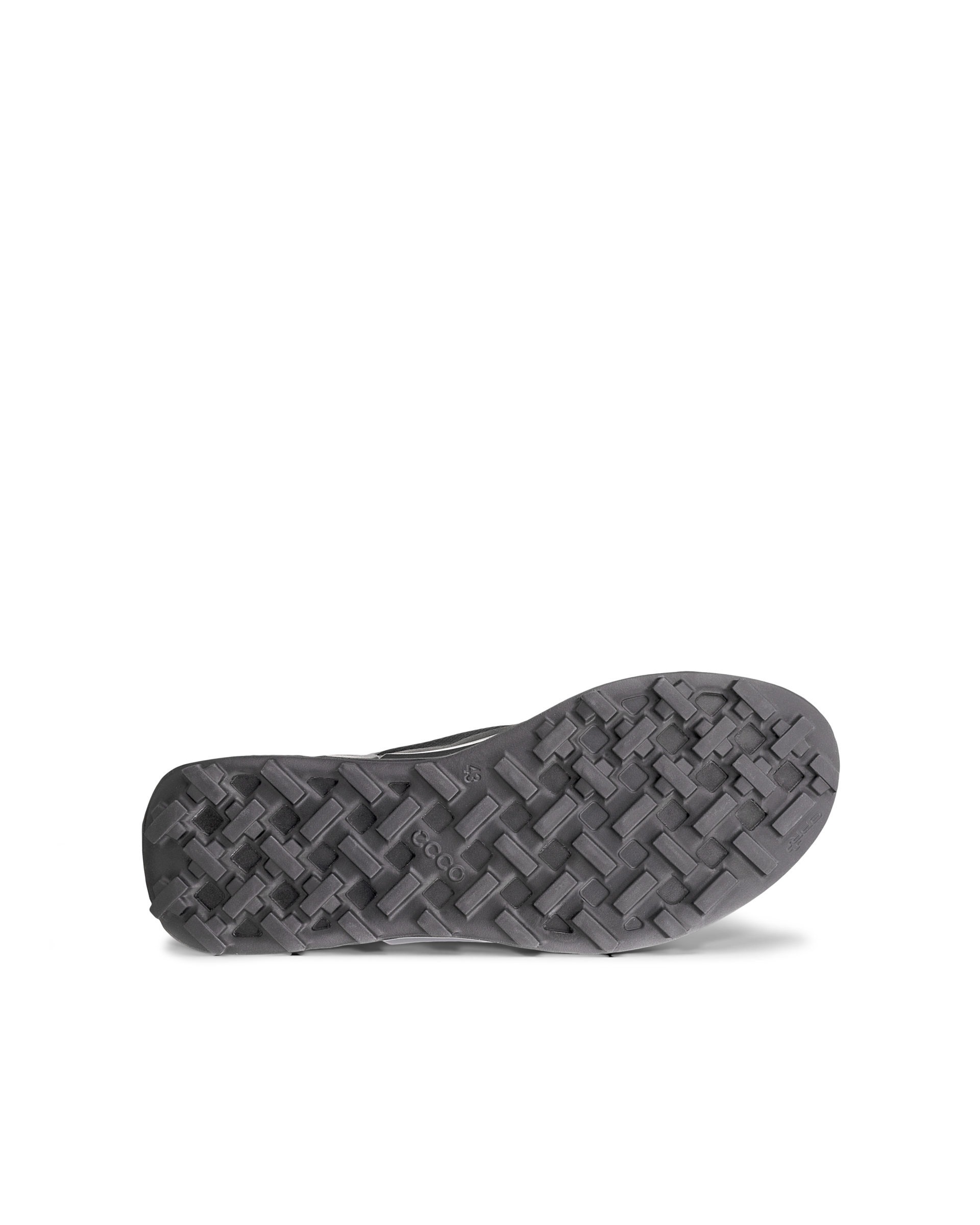 ECCO BIOM 2.1 X COUNTRY — Black