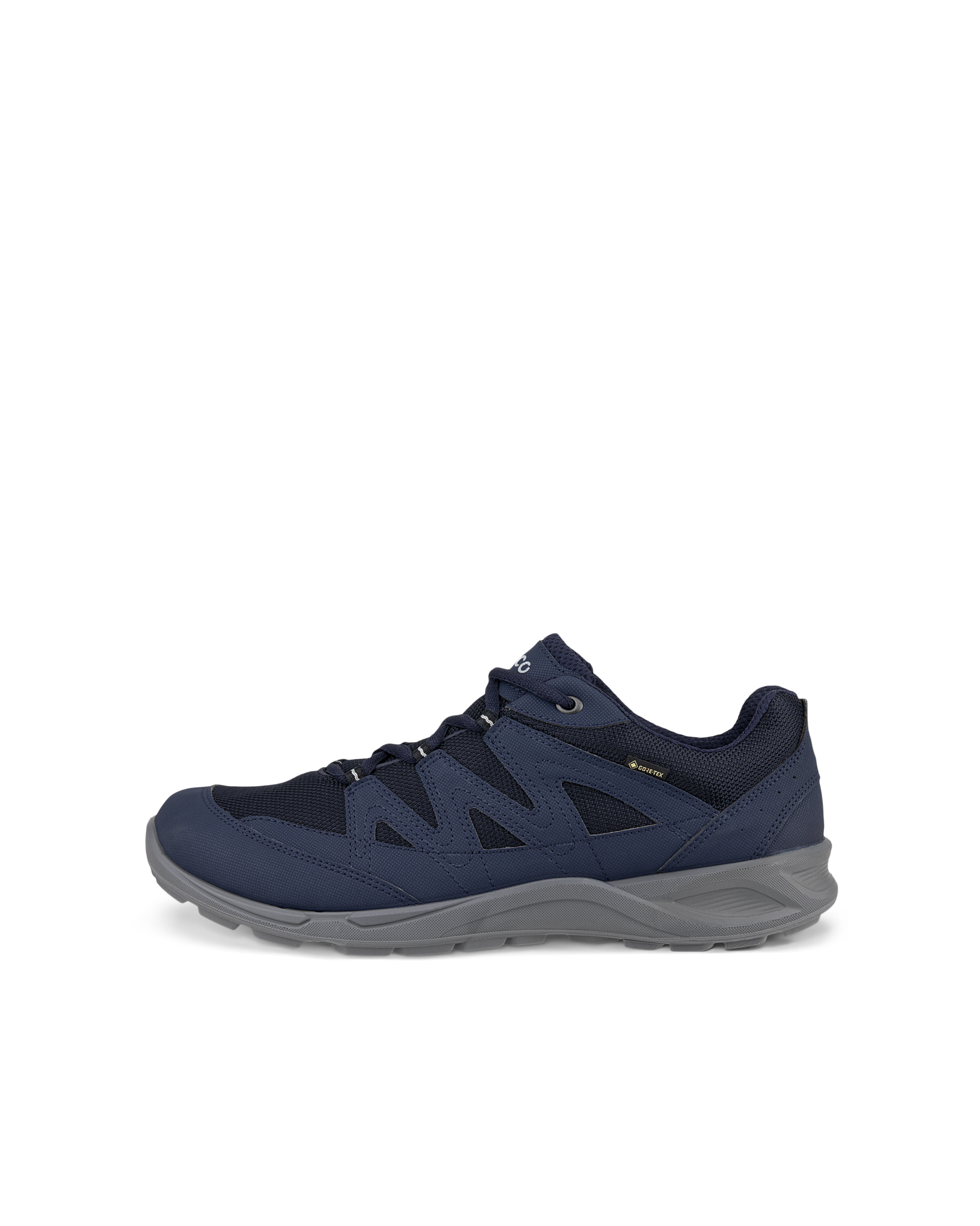 ECCO TERRACRUISE LT — Blue