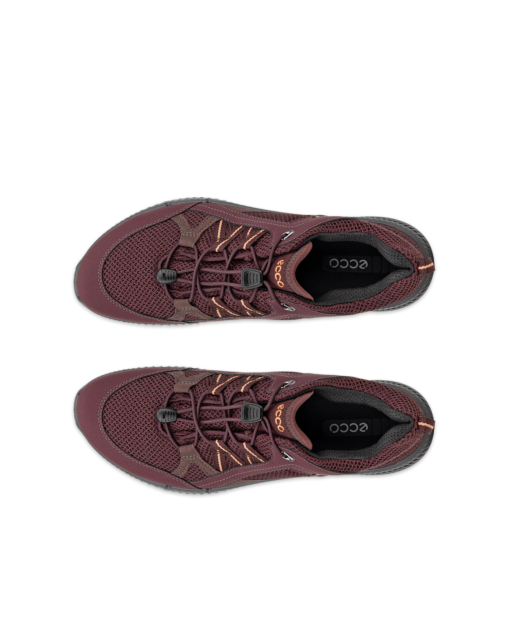 ECCO TERRACRUISE II — Purple