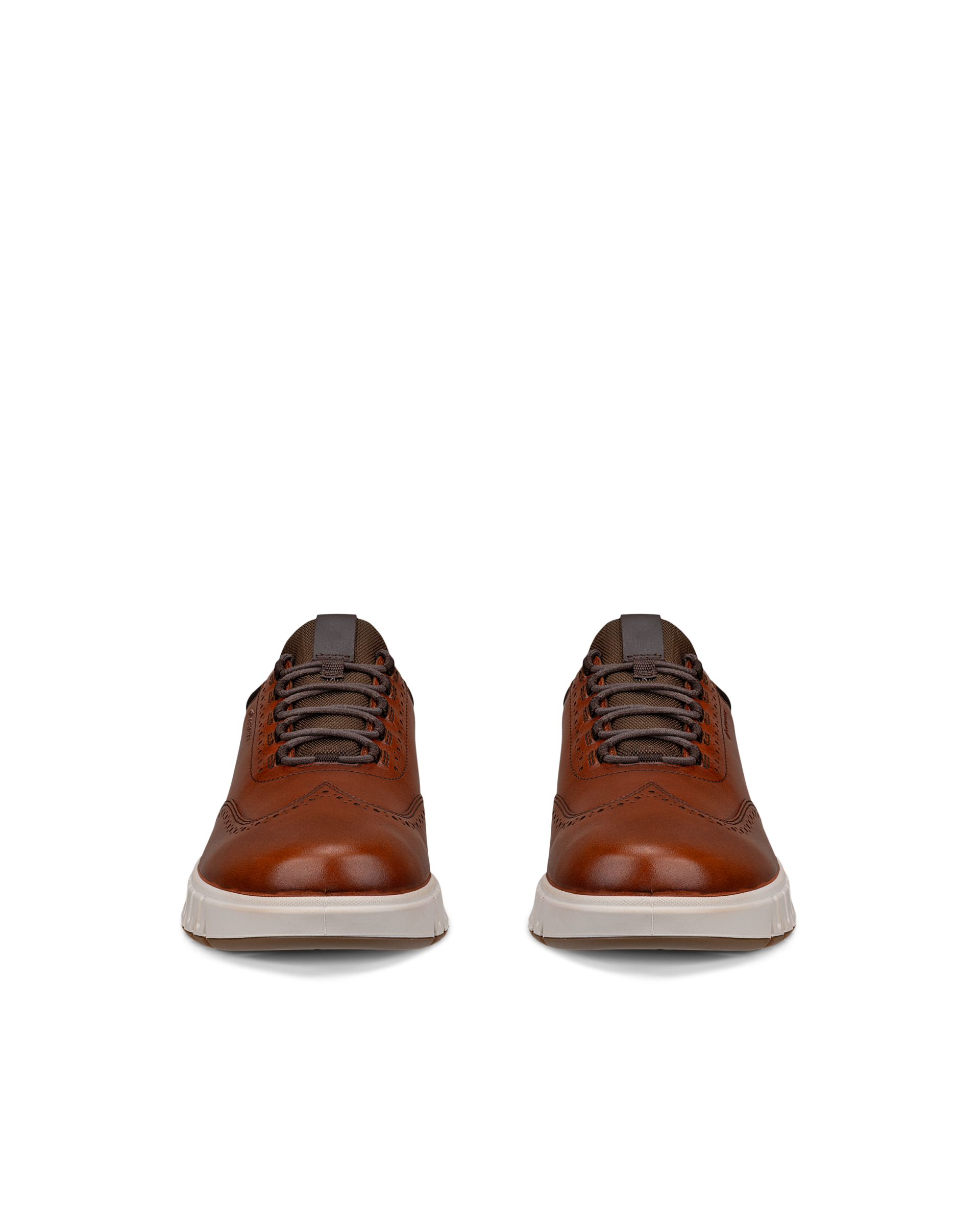 ECCO GRUUV STUDIO GTX MEN メンズ レザースニーカー | ブラウン