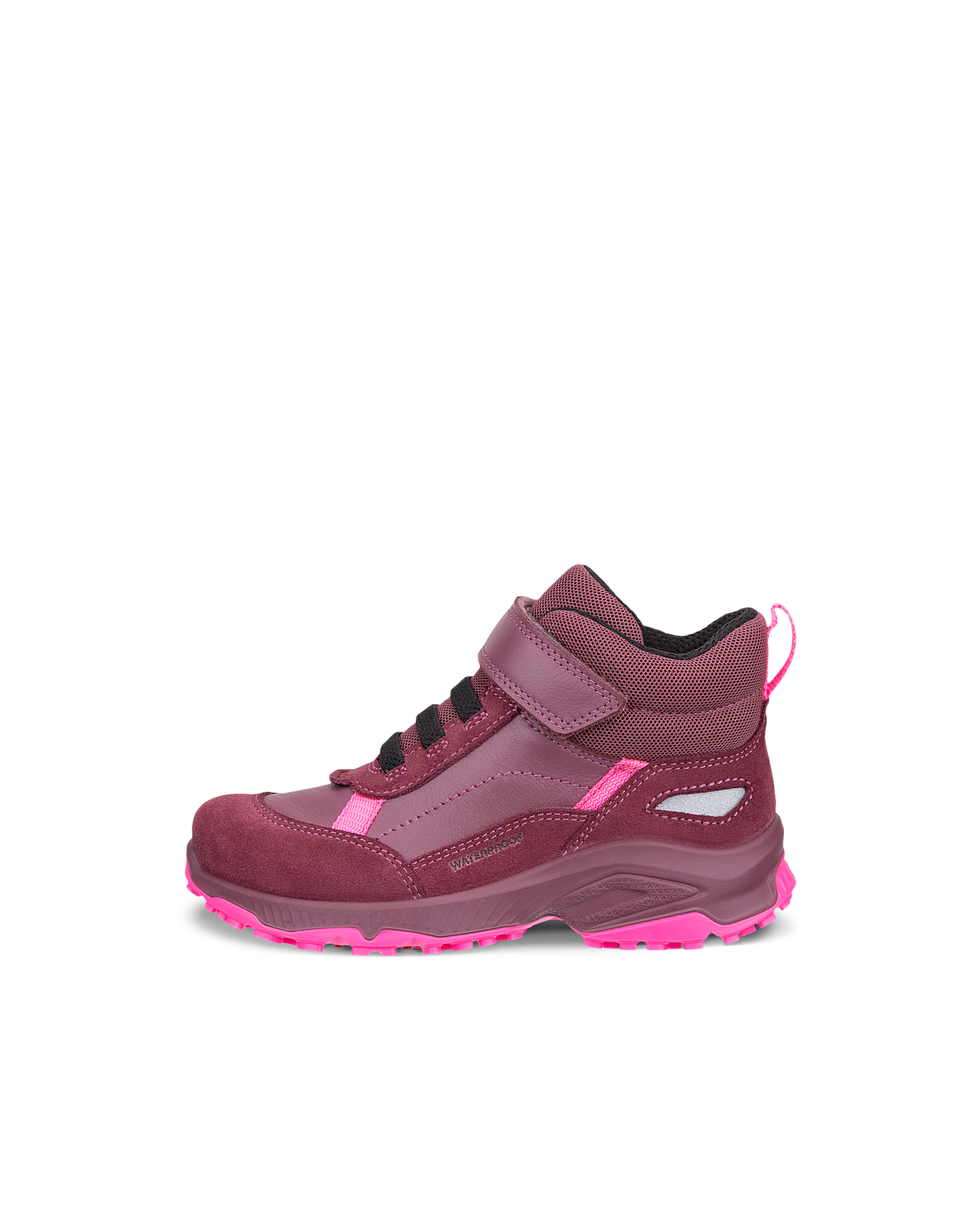 ECCO RECEPTOR XP — Pink