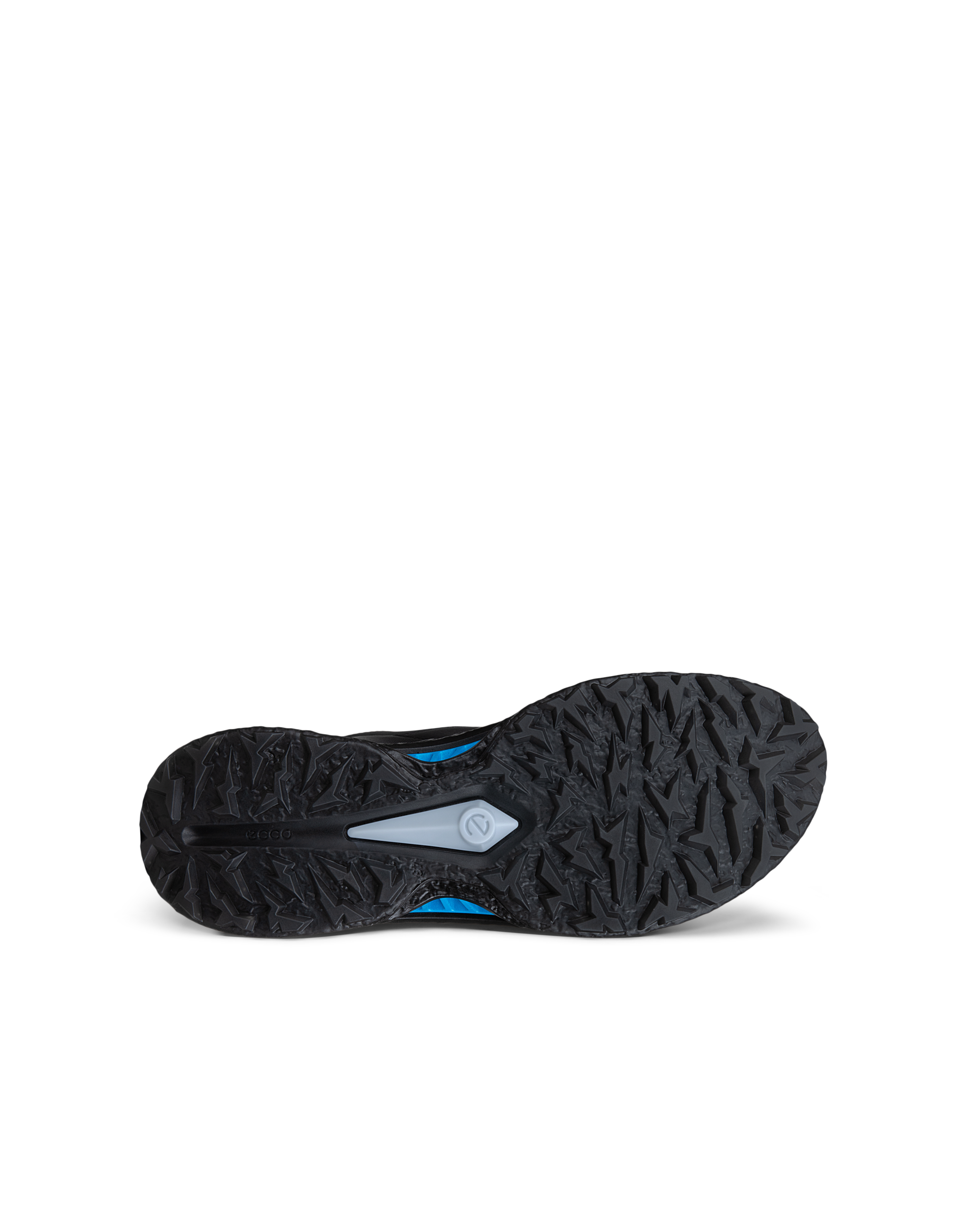 ECCO Golf Biom C5 — Black