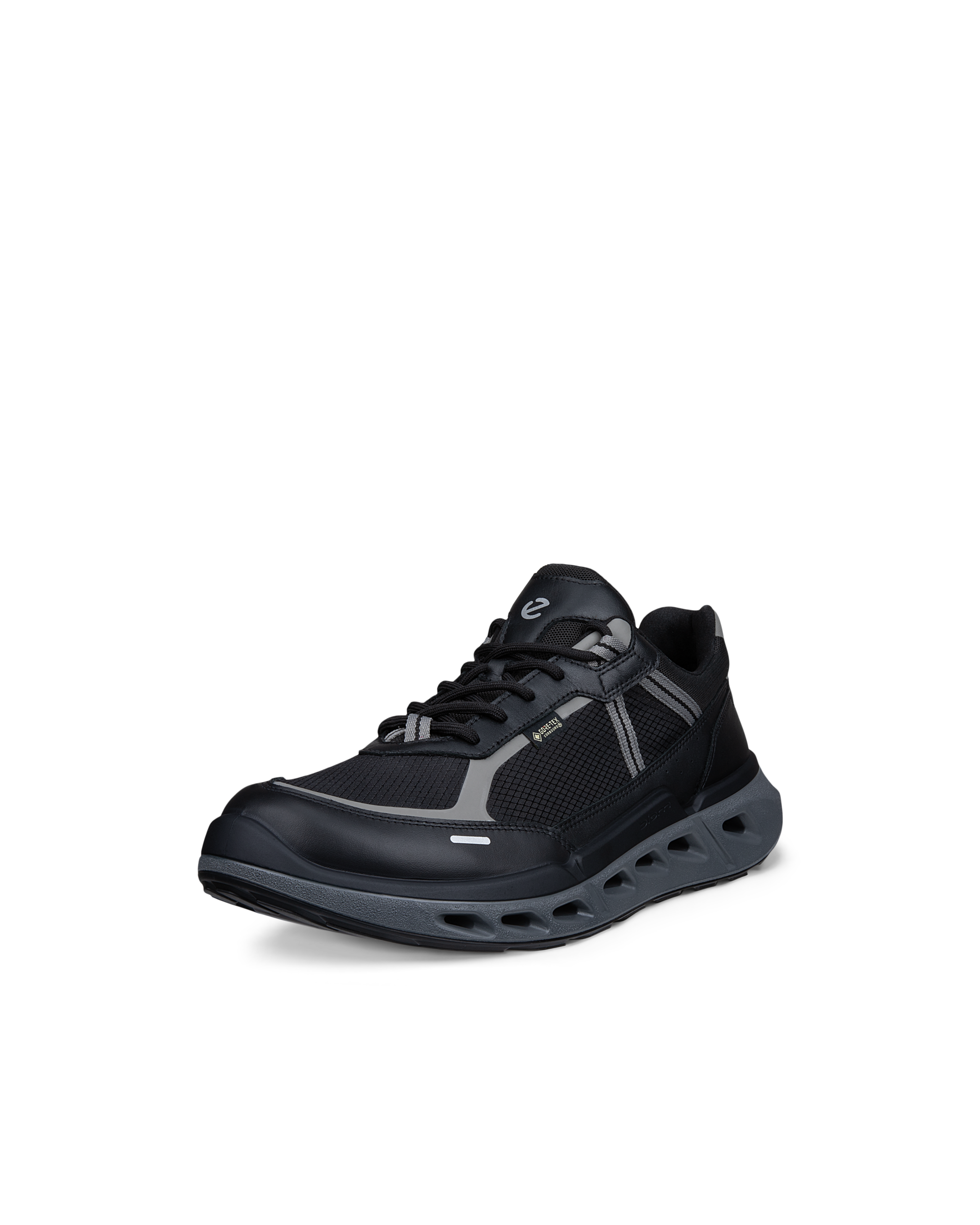 ECCO Biom 720 Gore-Tex — Black
