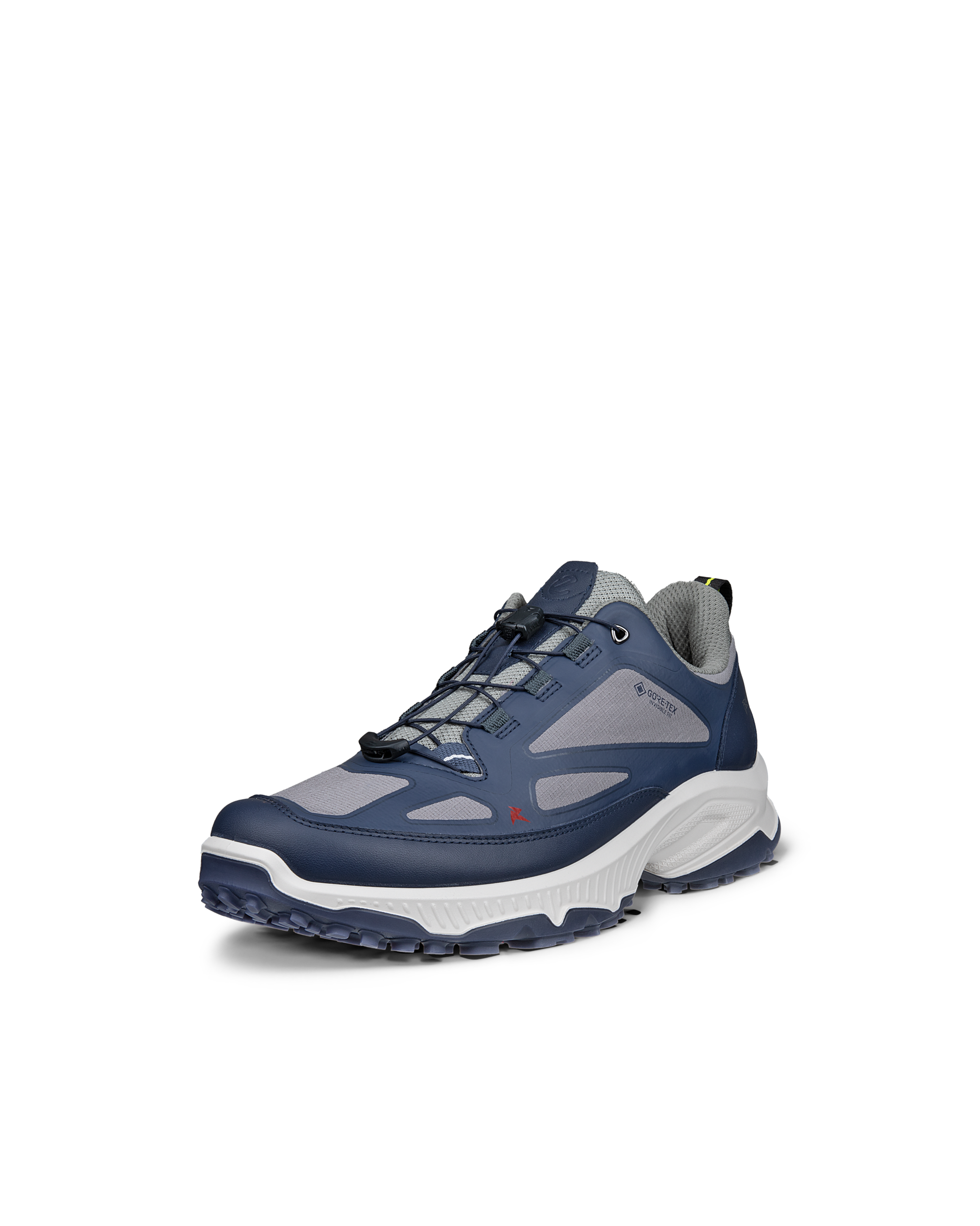 ECCO Receptor XP — Blue