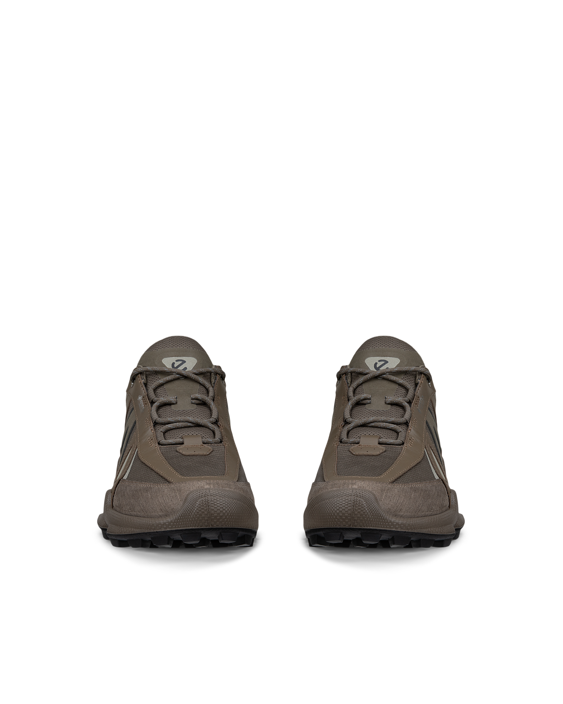 ECCO Biom C-Trail — Brown