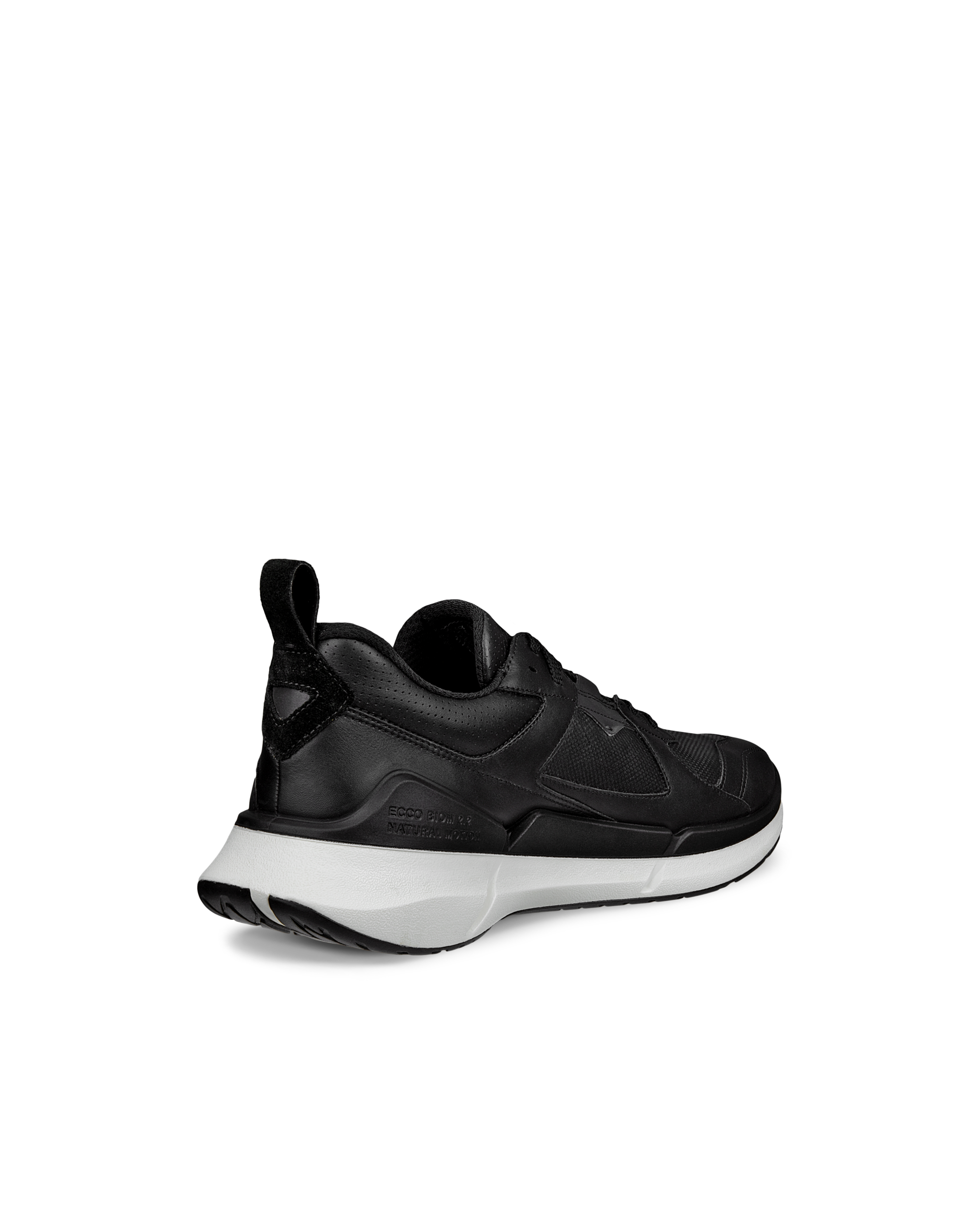 ECCO BIOM 2.2 — Black