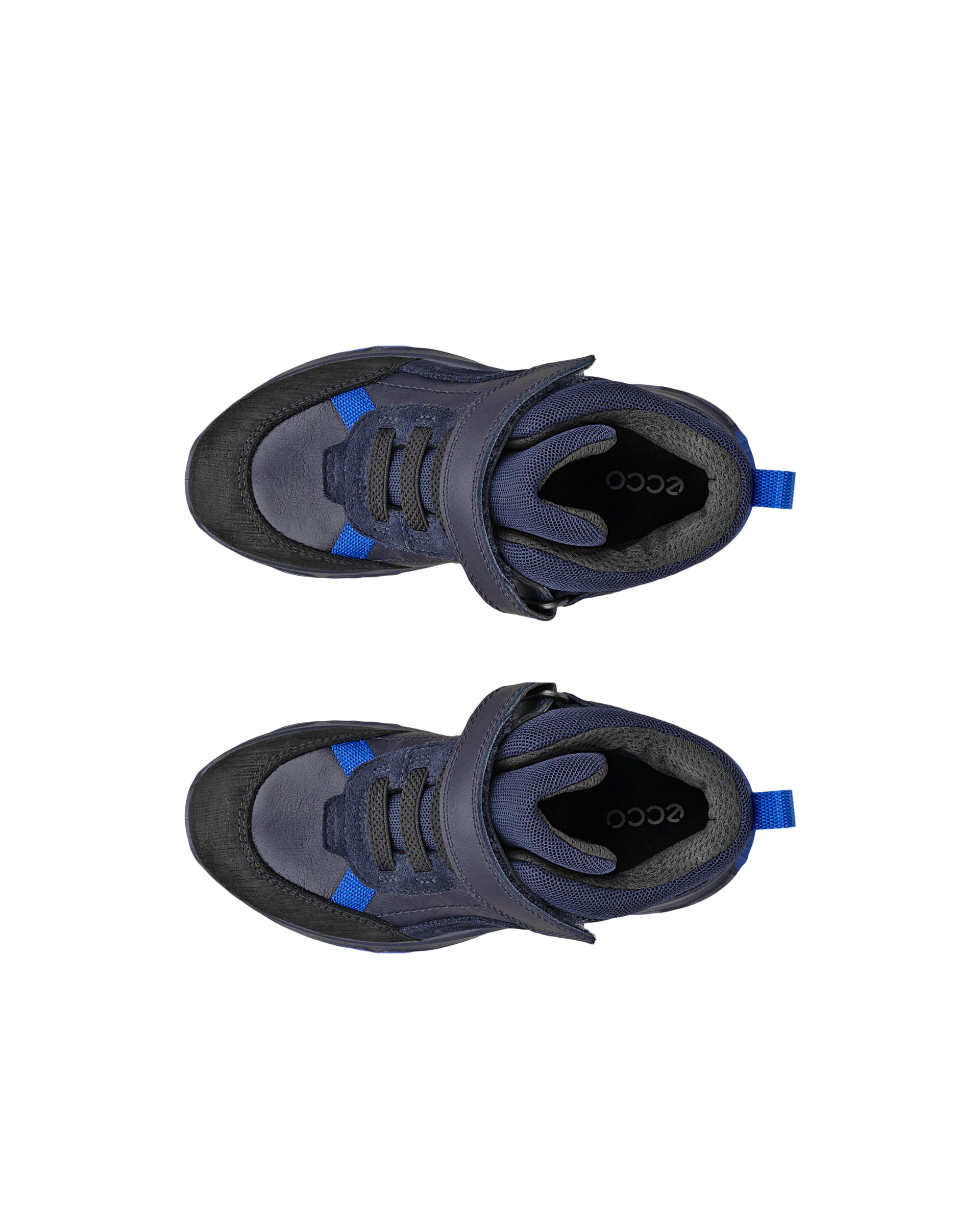 ECCO RECEPTOR XP — Blue
