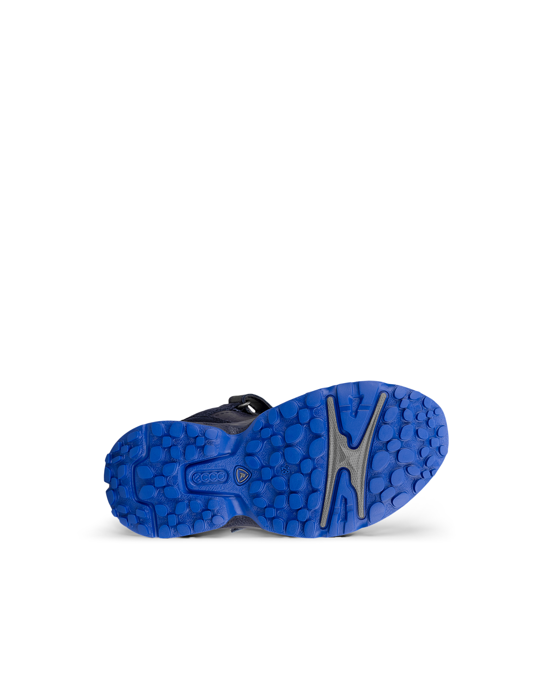ECCO RECEPTOR XP — Blue