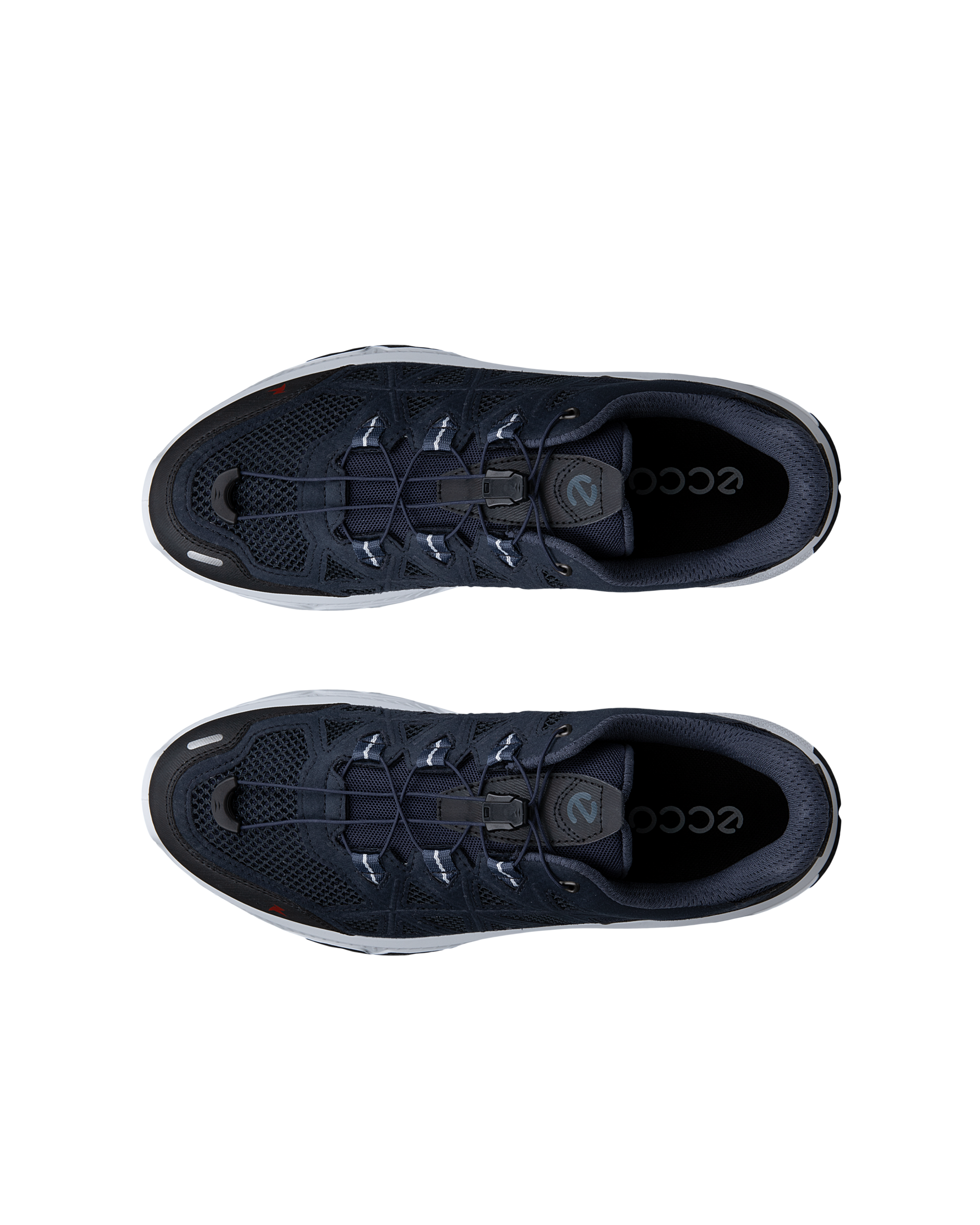 ECCO Receptor XP — Blue