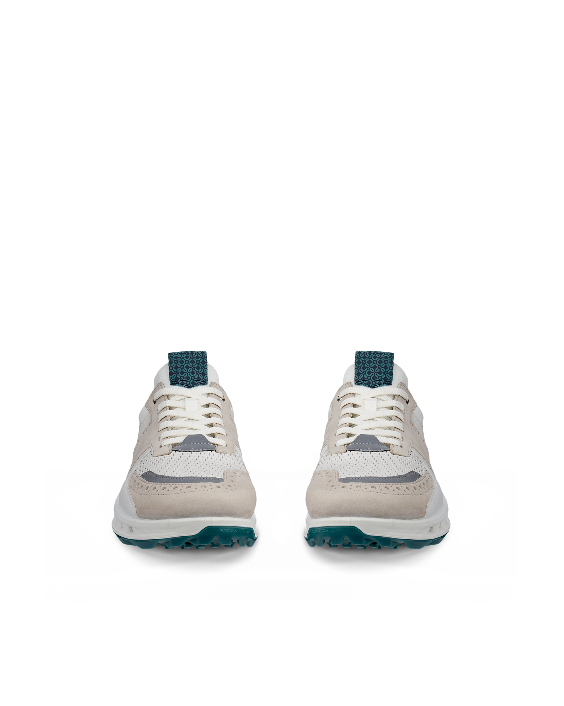 ECCO GOLF BIOM C4 MEN メンズ レザーGore-Texゴルフシューズ | ホワイト