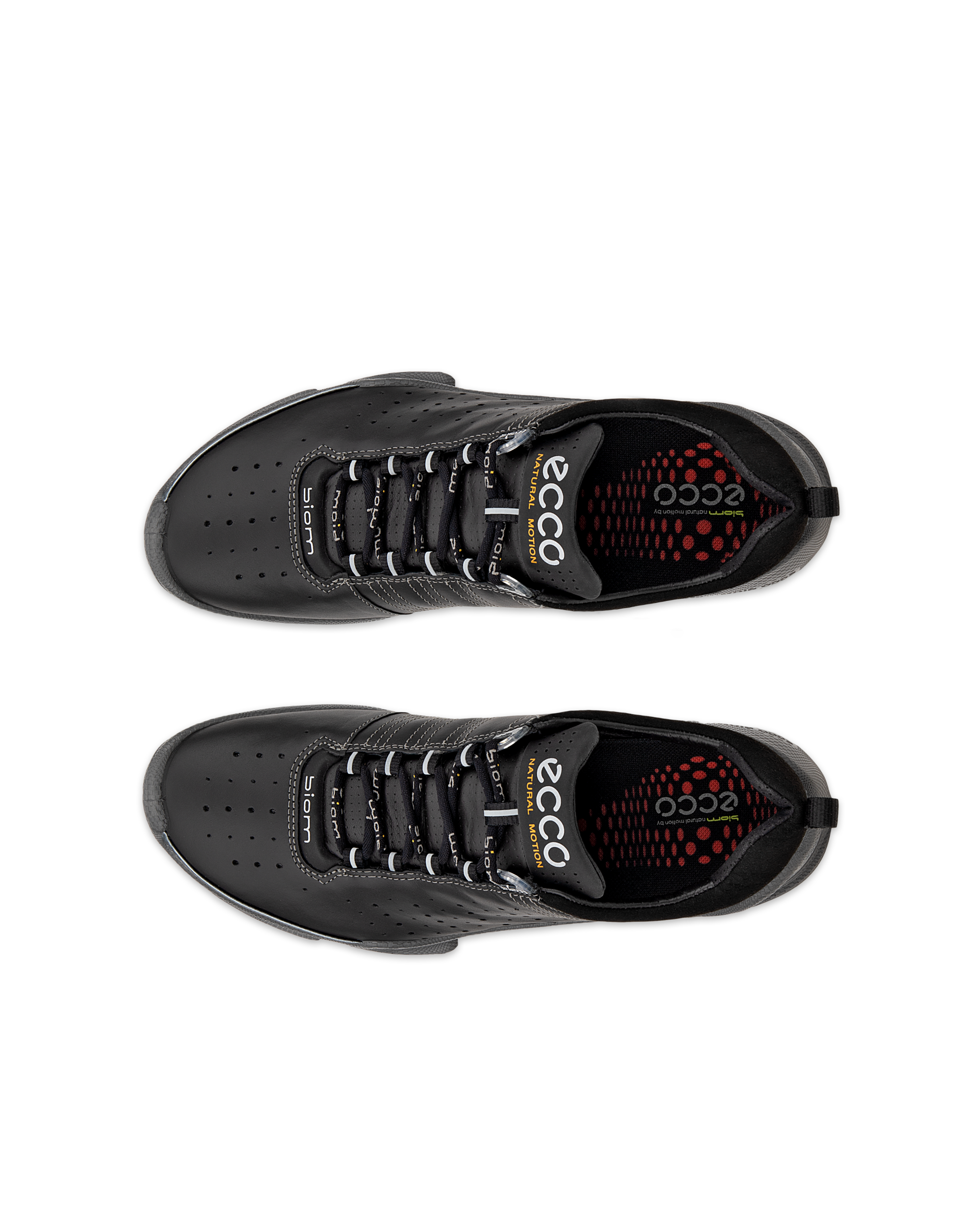 ECCO BIOM C Low ウィメンズ レザースニーカー | ブラック