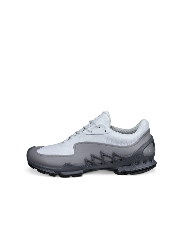 ECCO Biom Aex — Gray