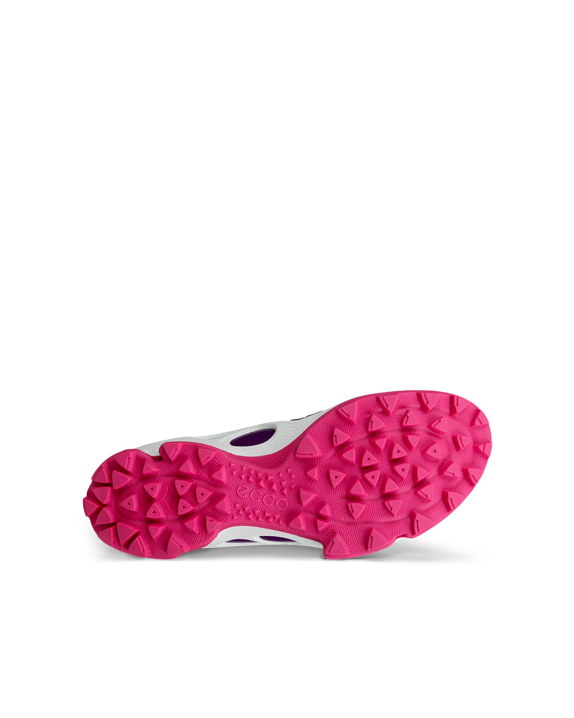 ECCO BIOM C-TRAIL — Purple