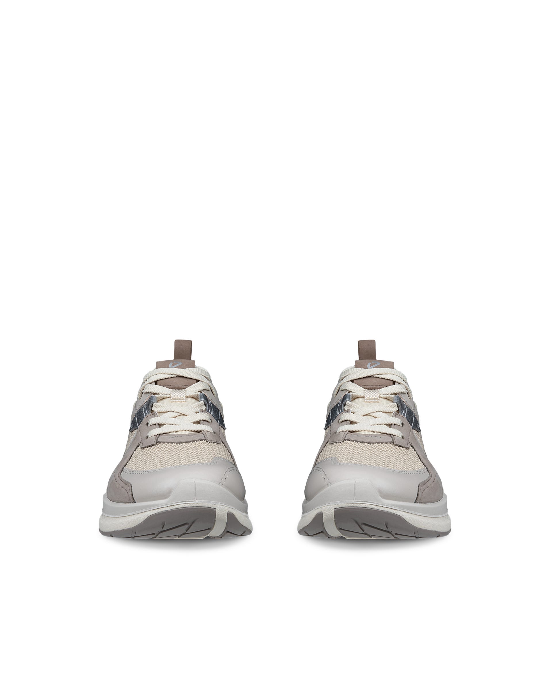 アッシュぺージ ECCO BIOM 2.2 Women ウィメンズ レザースニーカー | グレー