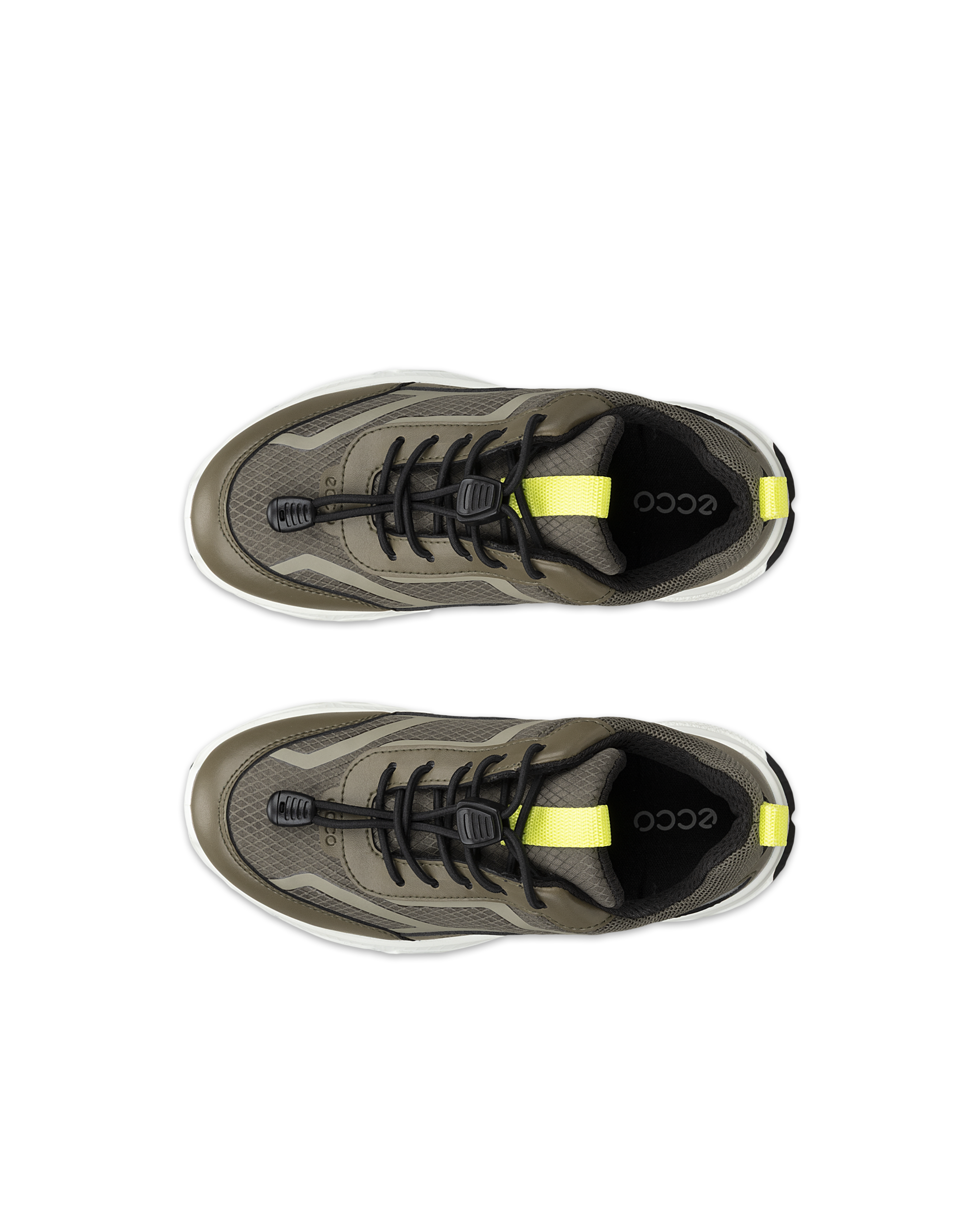 ECCO RECEPTOR XP — Green