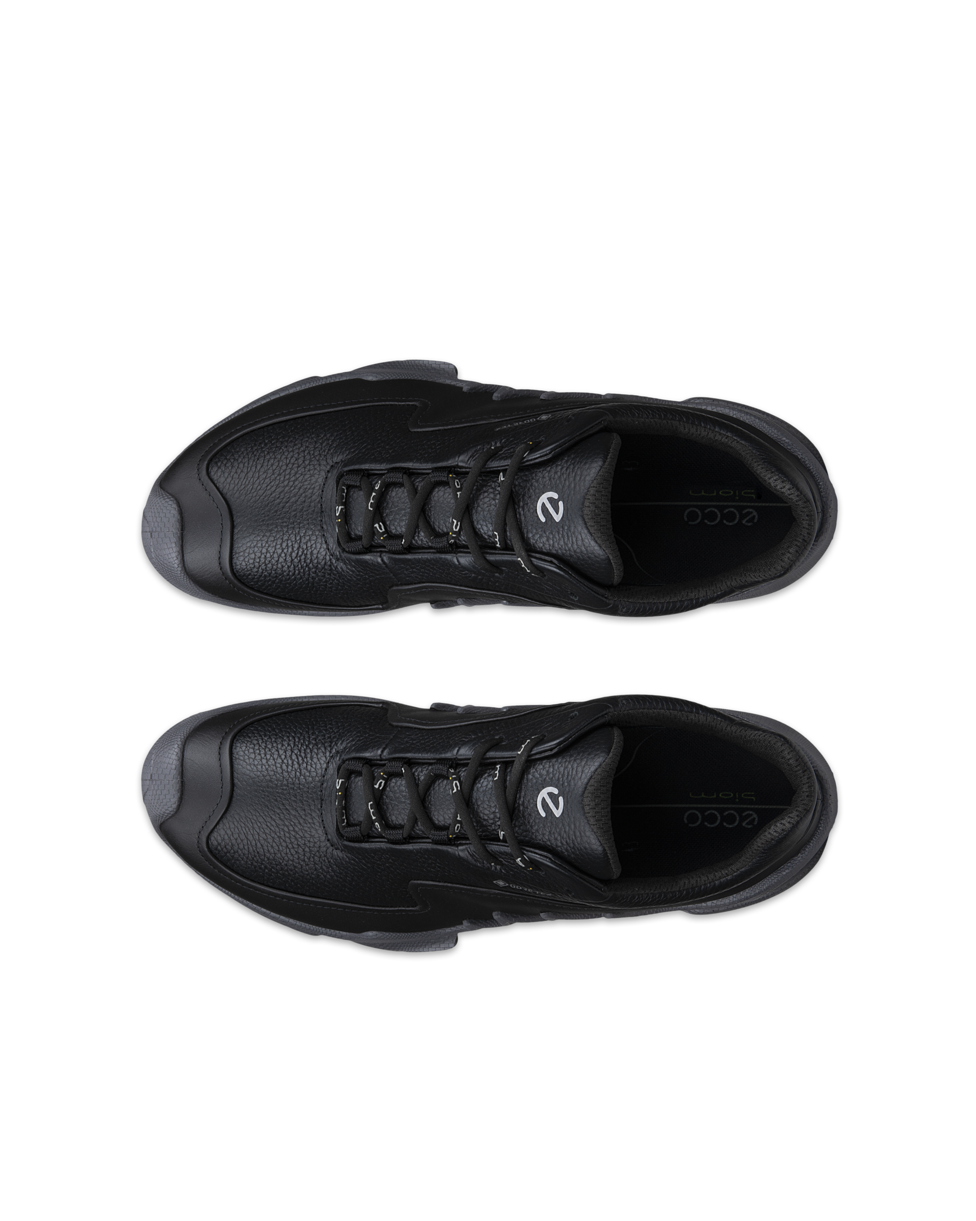 ECCO Biom Aex — Black