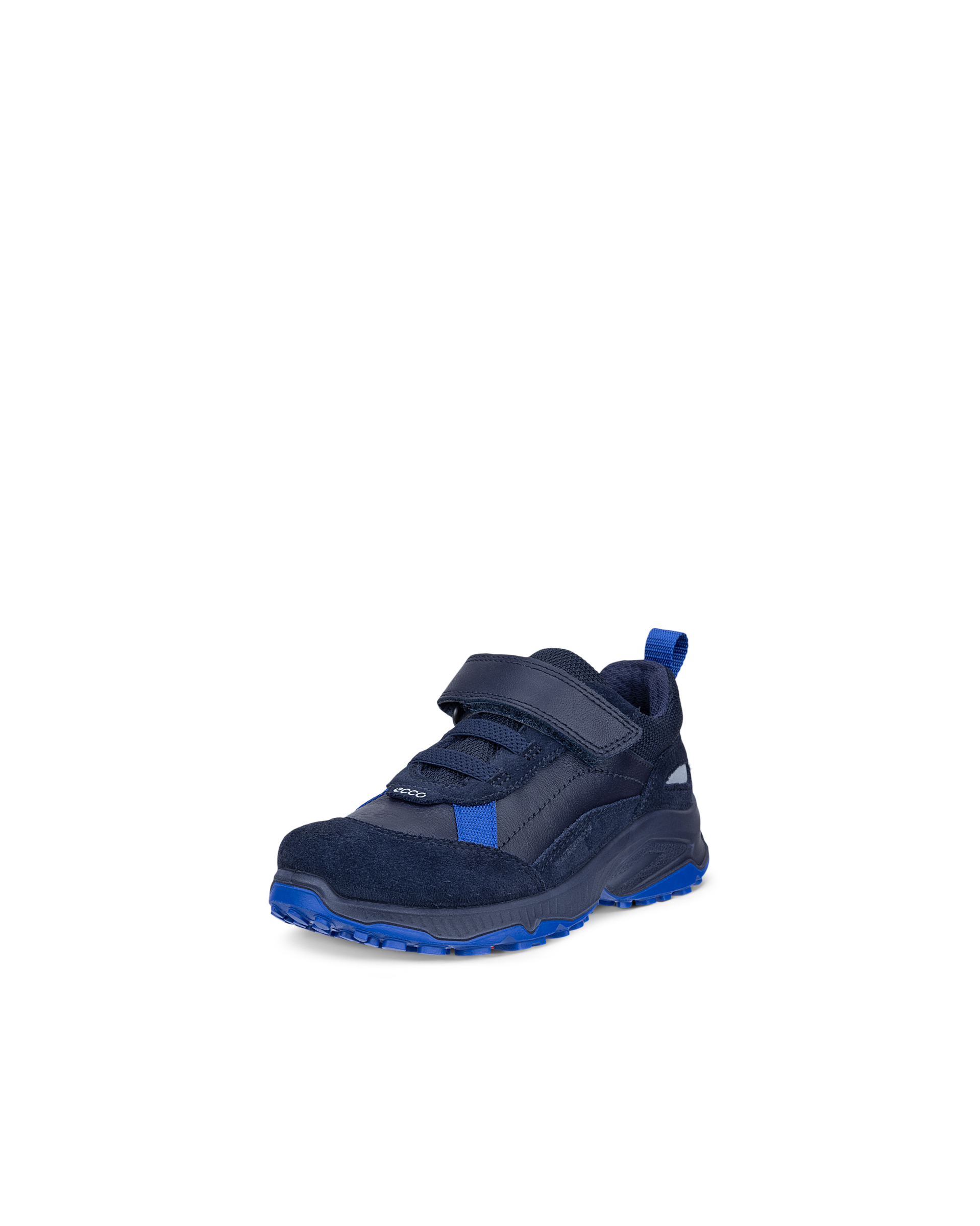 ECCO RECEPTOR XP — Blue
