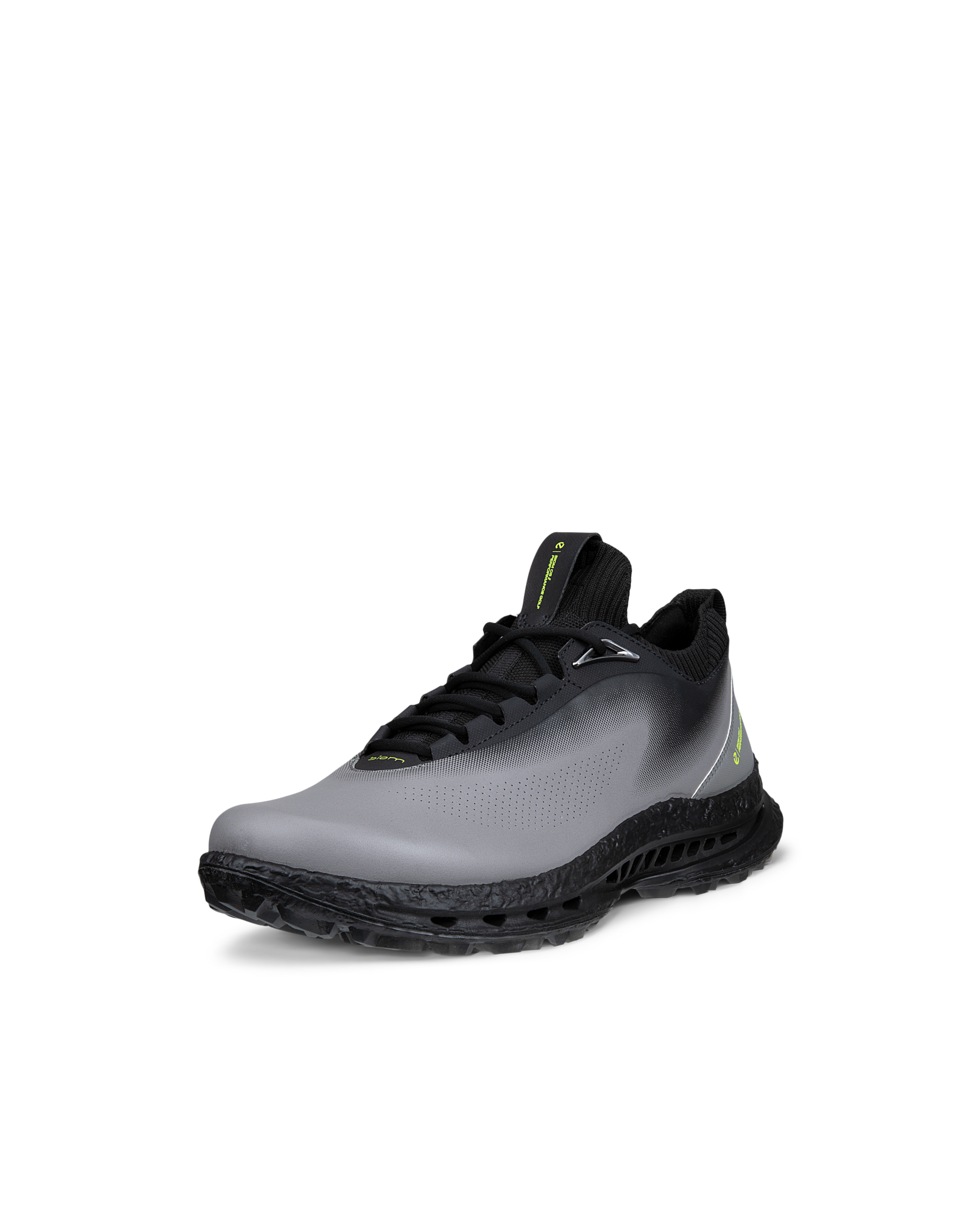ECCO Golf Biom C5 — Gray