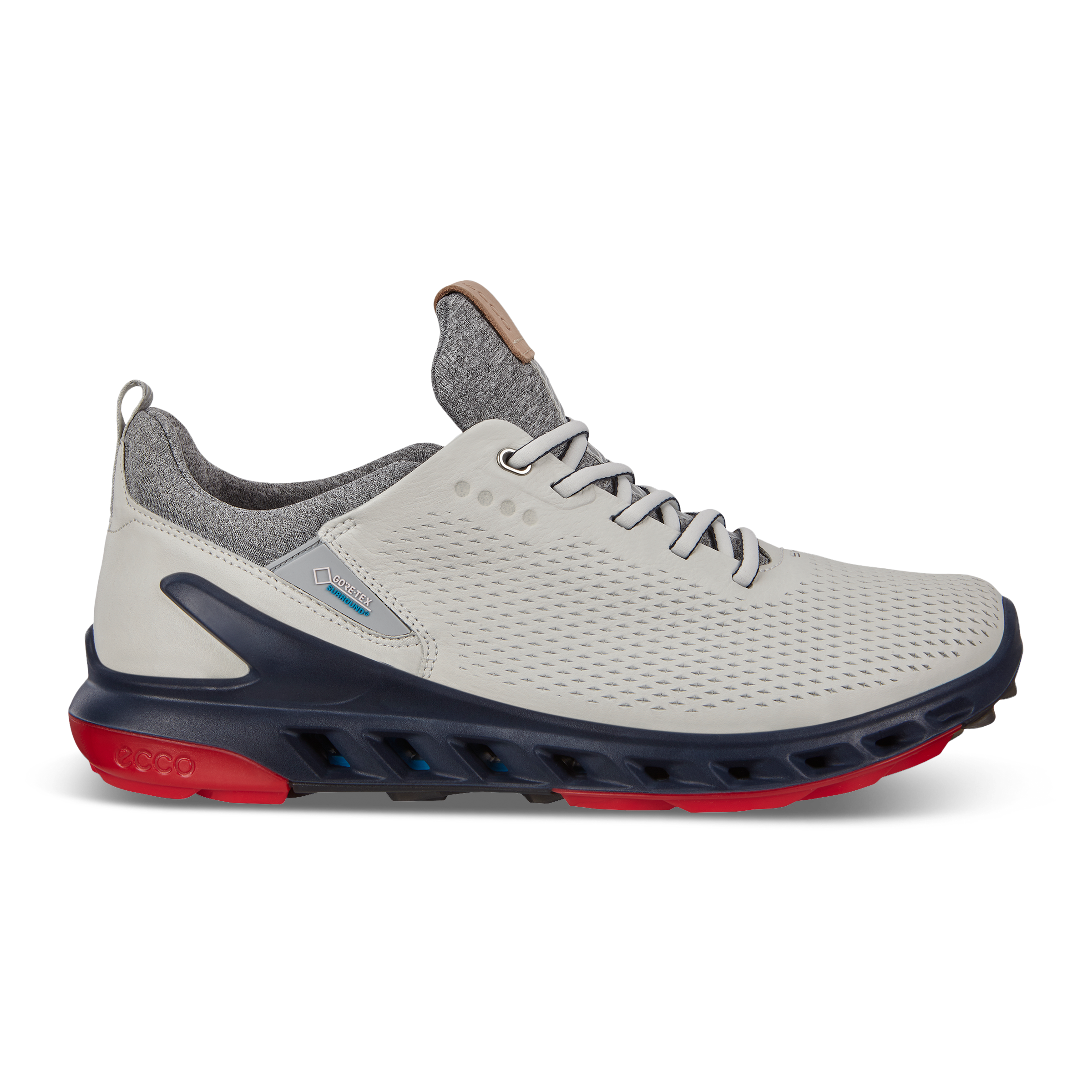 Men's ECCO® Golf BIOM Cool Pro Leather Golf Shoe | Black