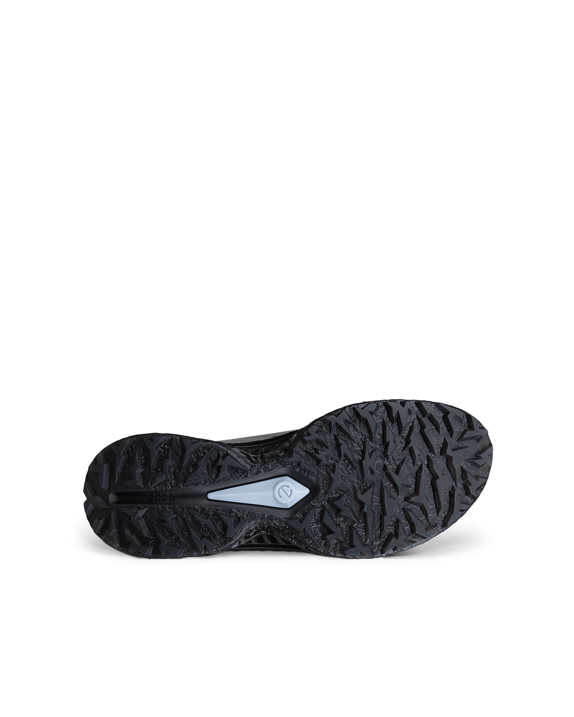 ECCO Golf Biom C5 — Gray
