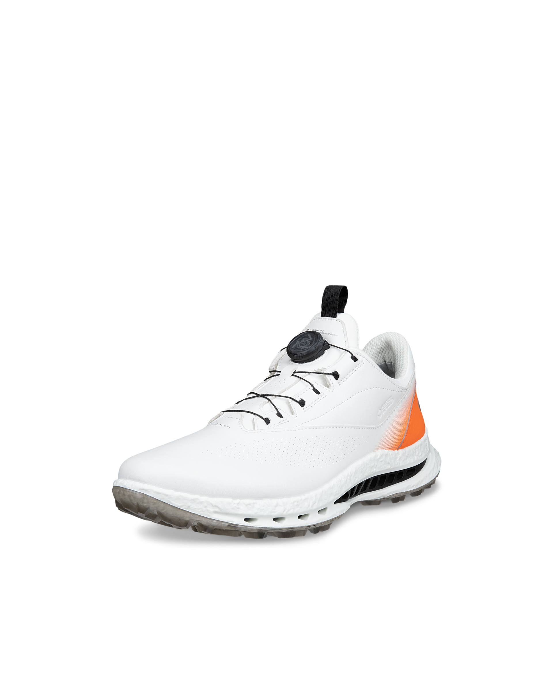 ECCO GOLF BIOM C5 Men メンズ レザーGore-Texゴルフシューズ | ホワイト