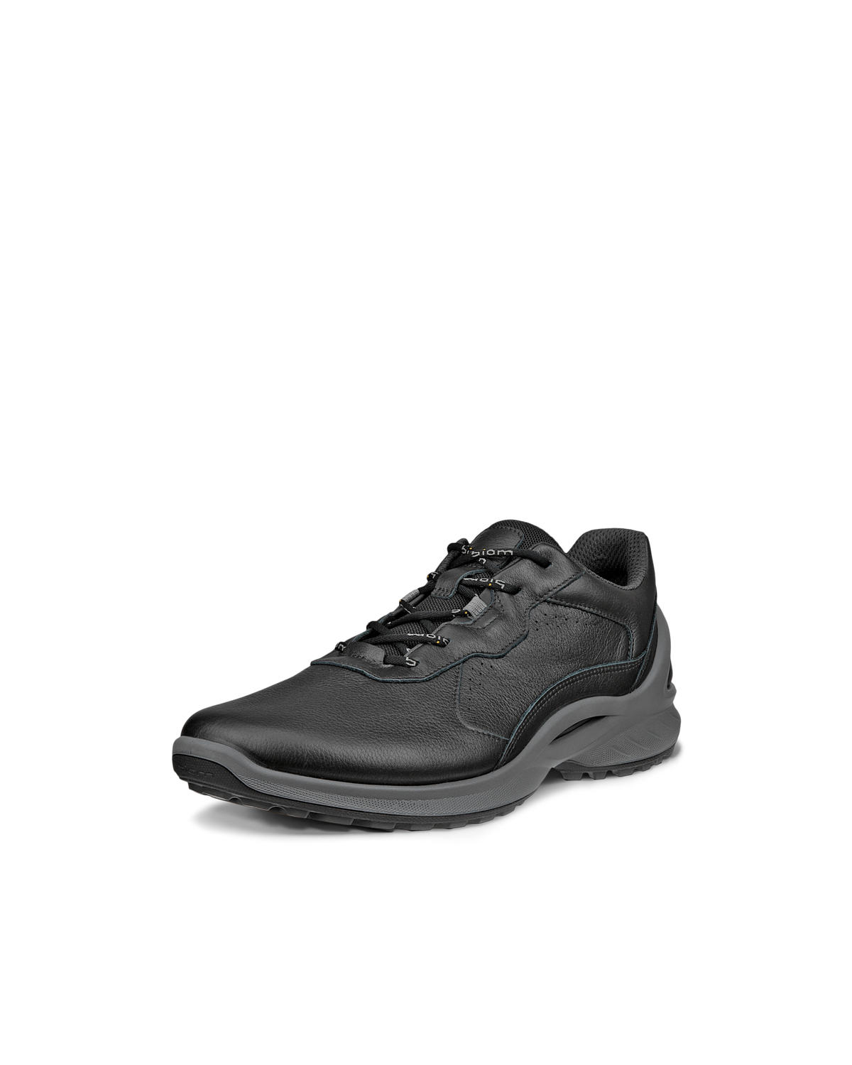ECCO Biom Energi — Black