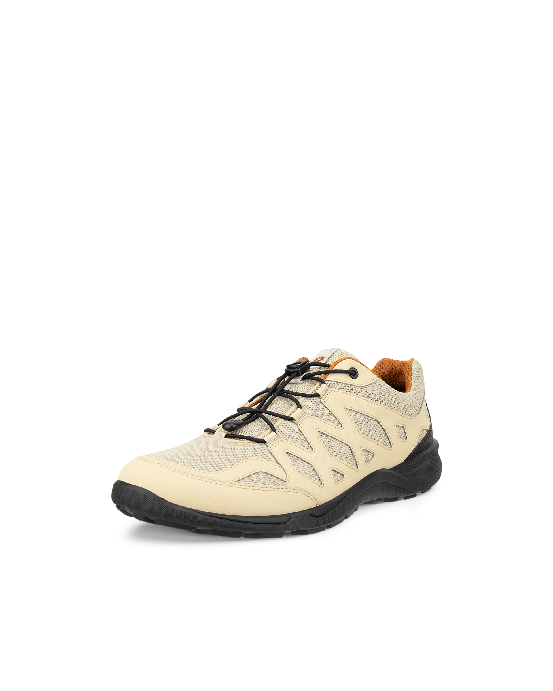 ECCO TERRACRUISE LT — Beige