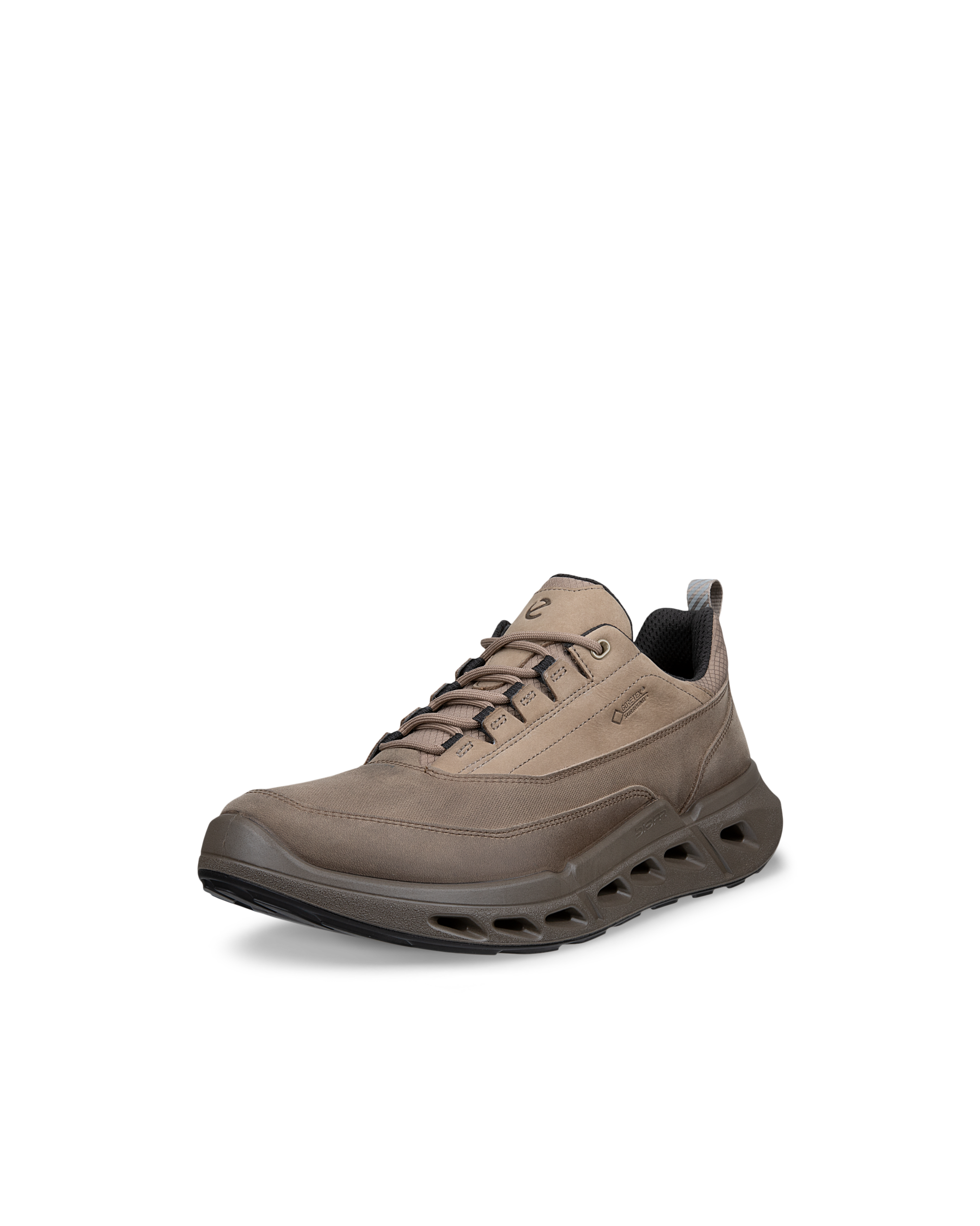 ECCO Biom 720 Gore-Tex — Brown