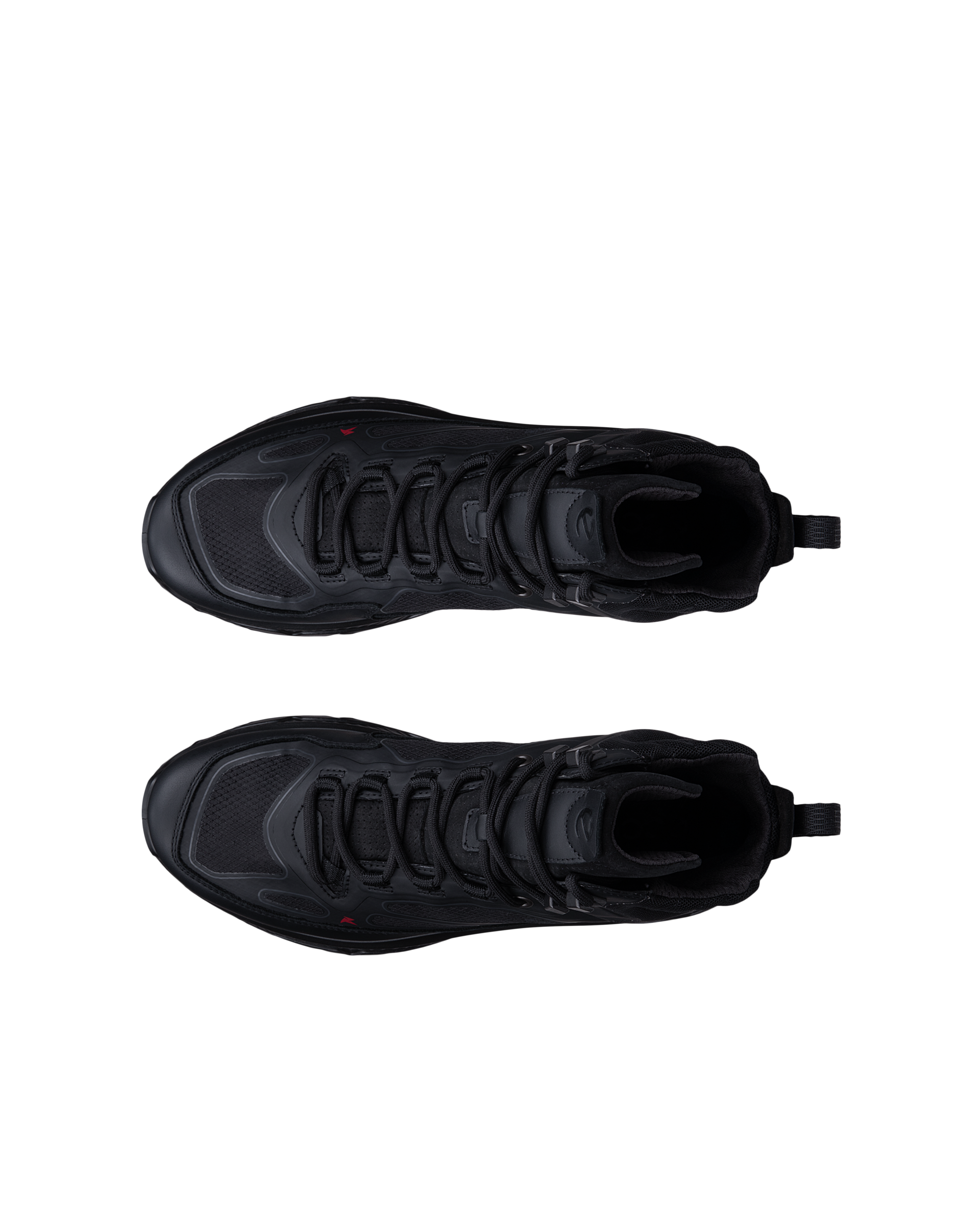 ECCO Receptor Xp — Black